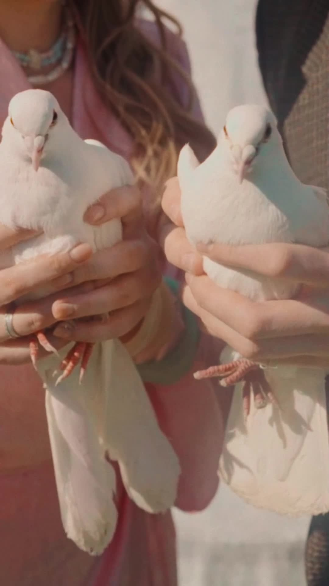 Видеограф Екатерина Ротова