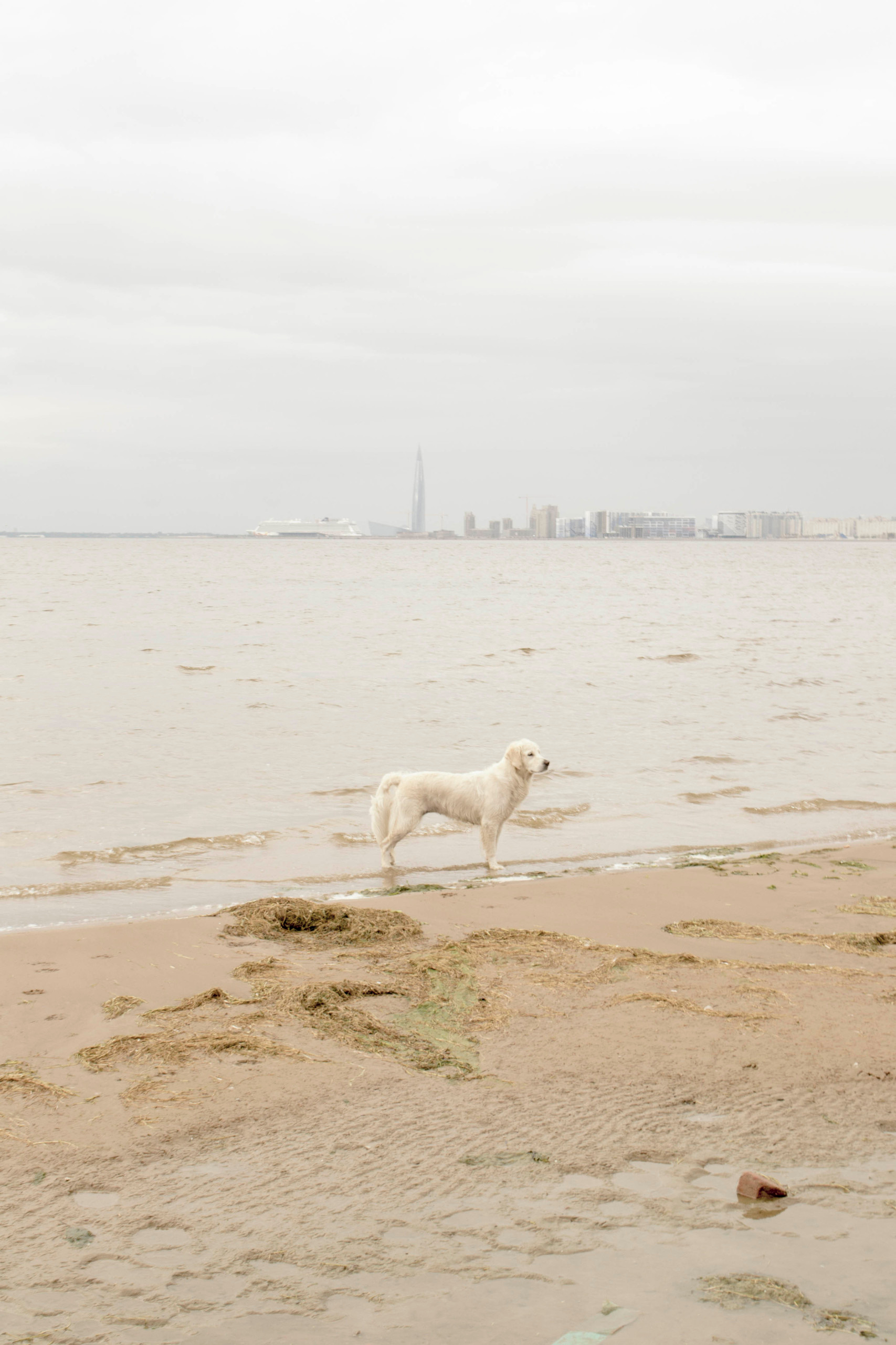 By the sea. Valerii Konkov