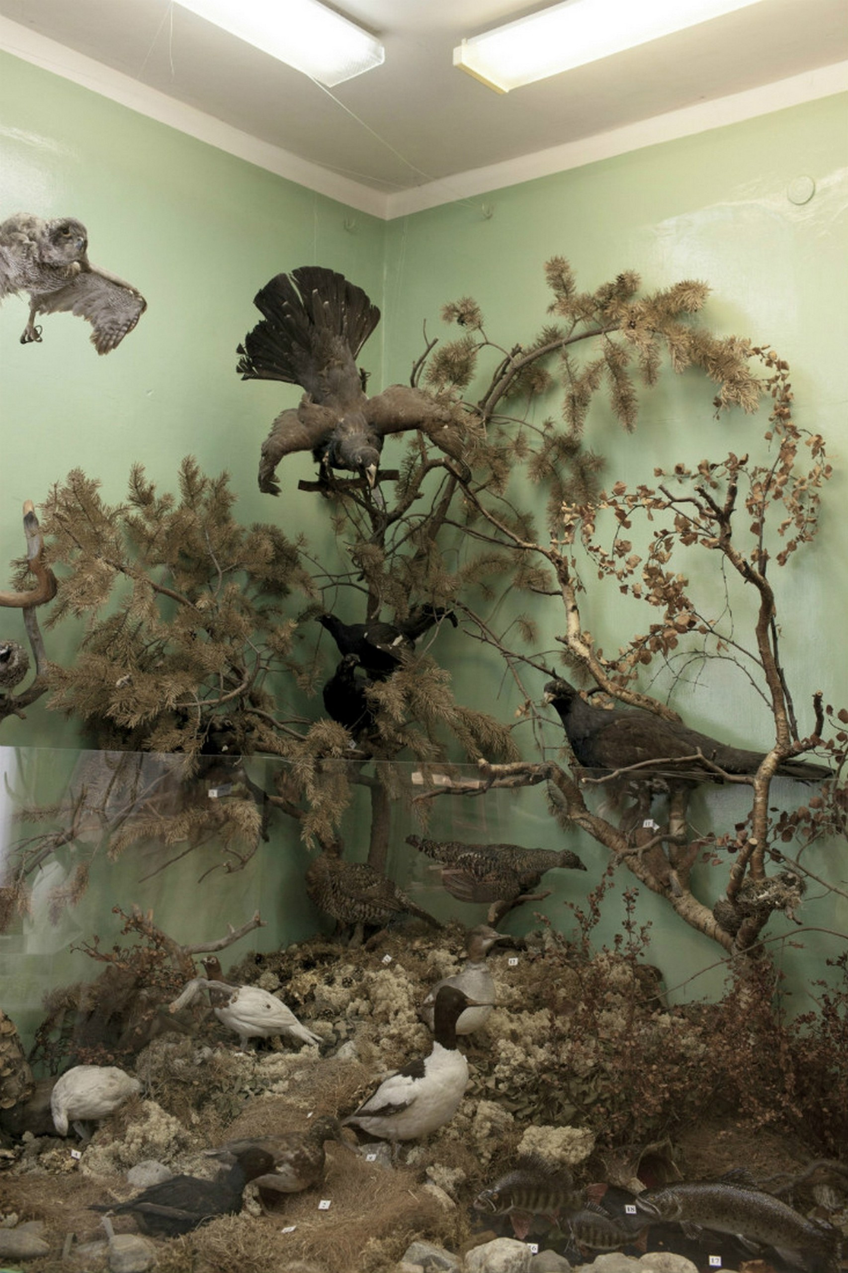 The city by the beautiful mountains. Valerii Konkov