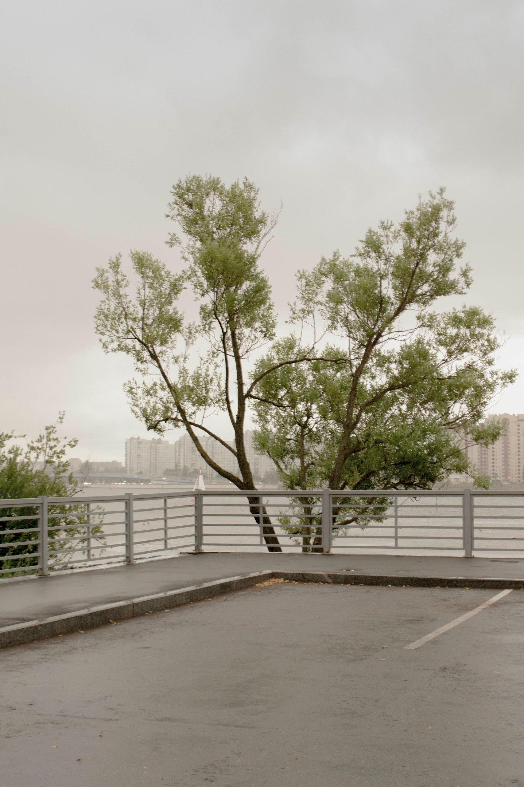 By the sea. Valerii Konkov