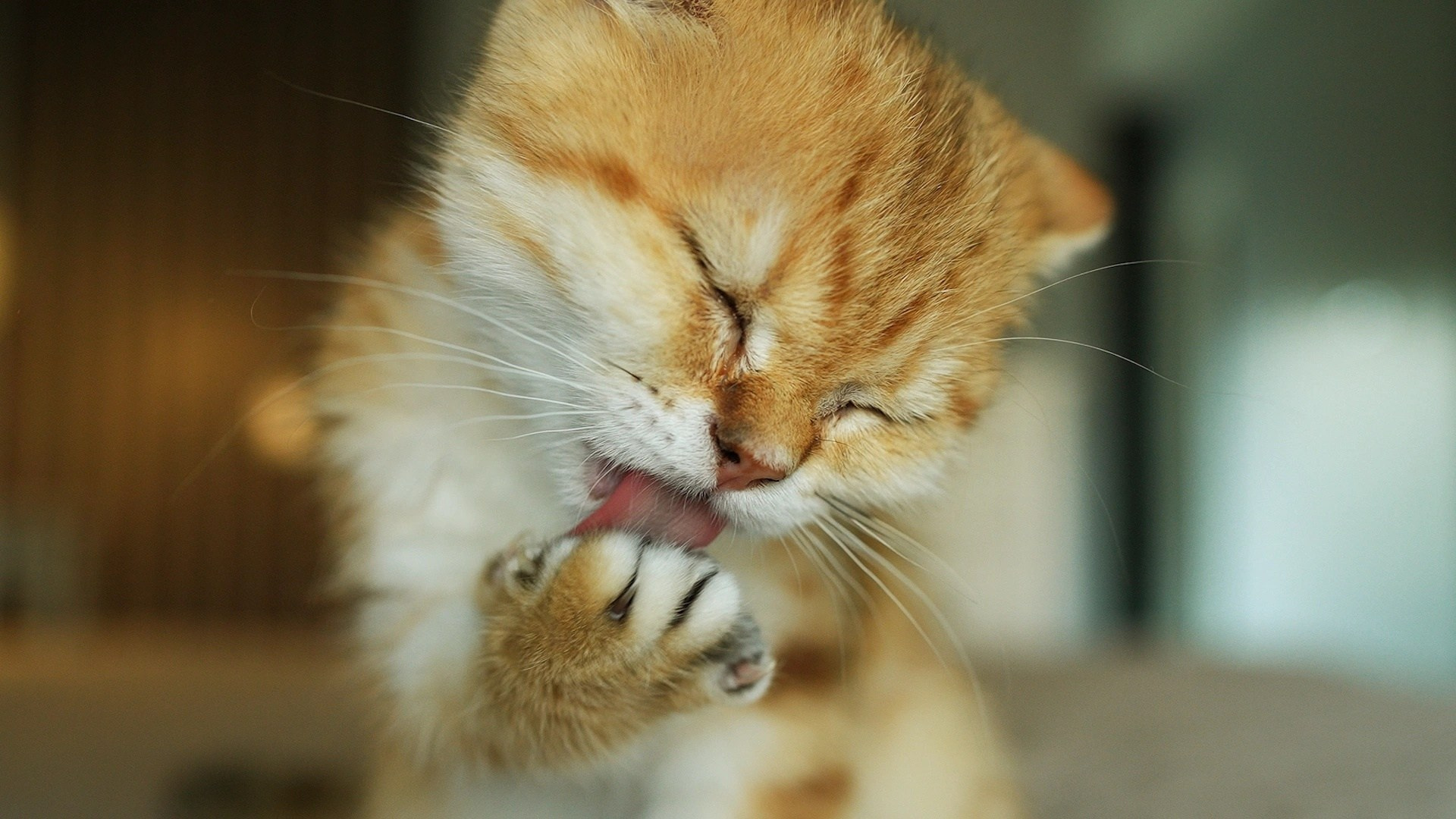 Видео преподавателя курса. Наталья Рапопорт. Онлайн-курсы по фотографии и съемке видео