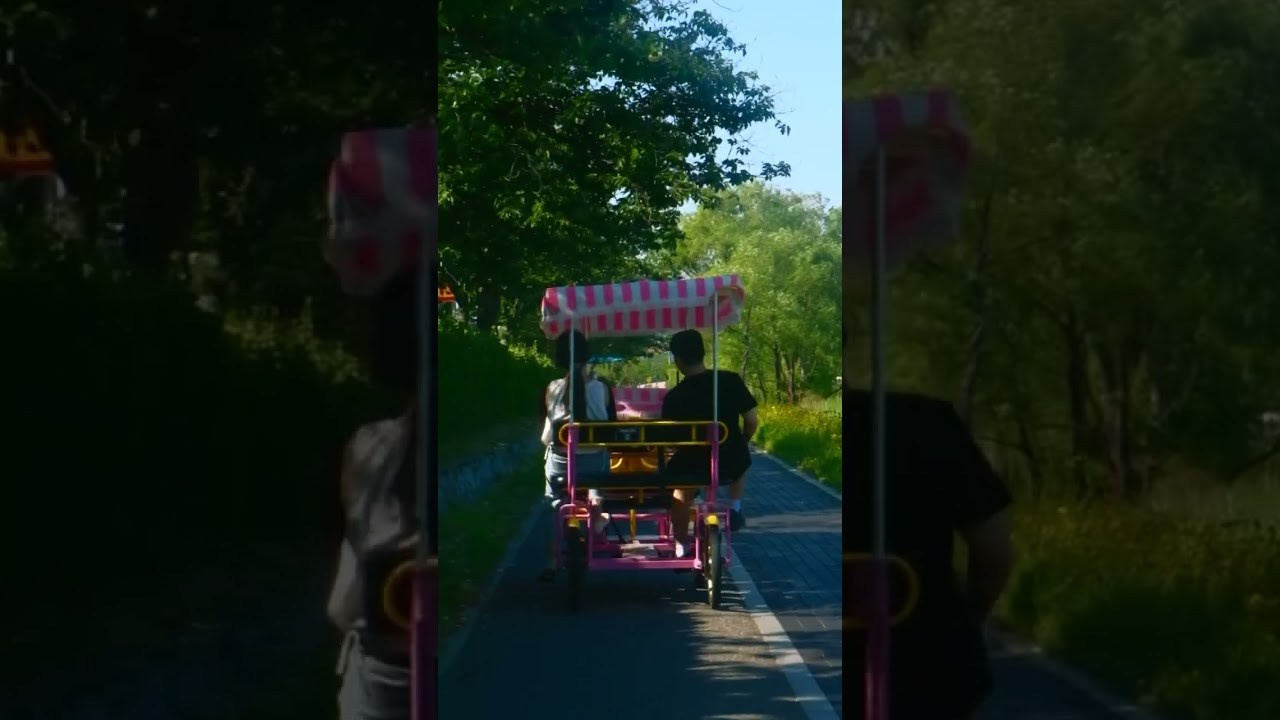 Видео. Свадебный фотограф в Провансе