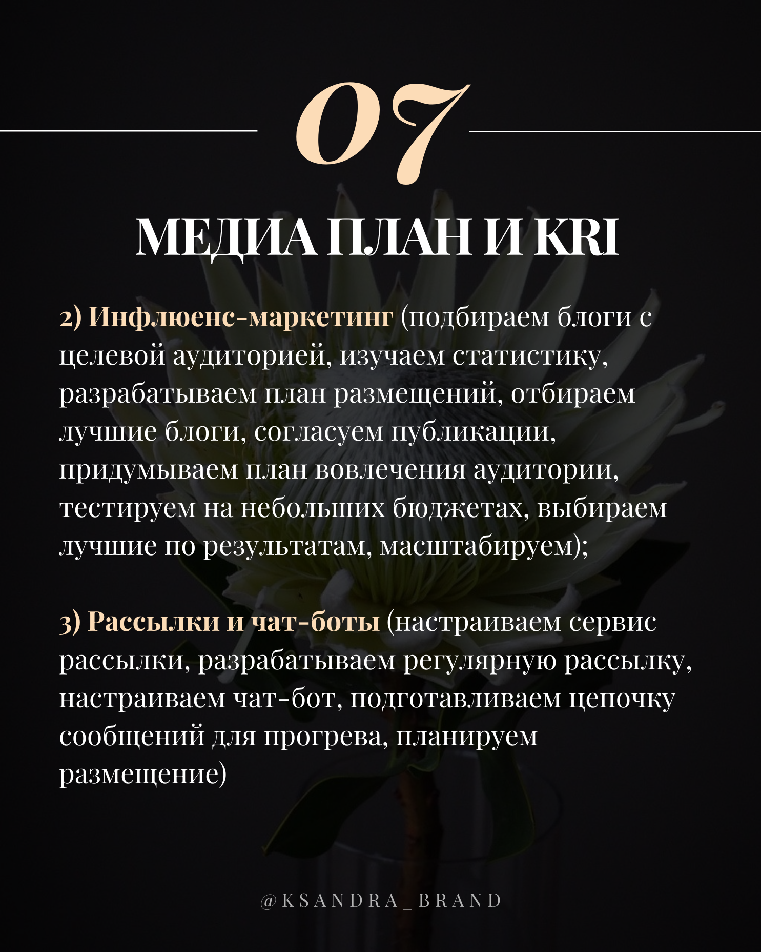 Практическое руководство: «Создание стратегии продвижения в соцсетях на 2025 год