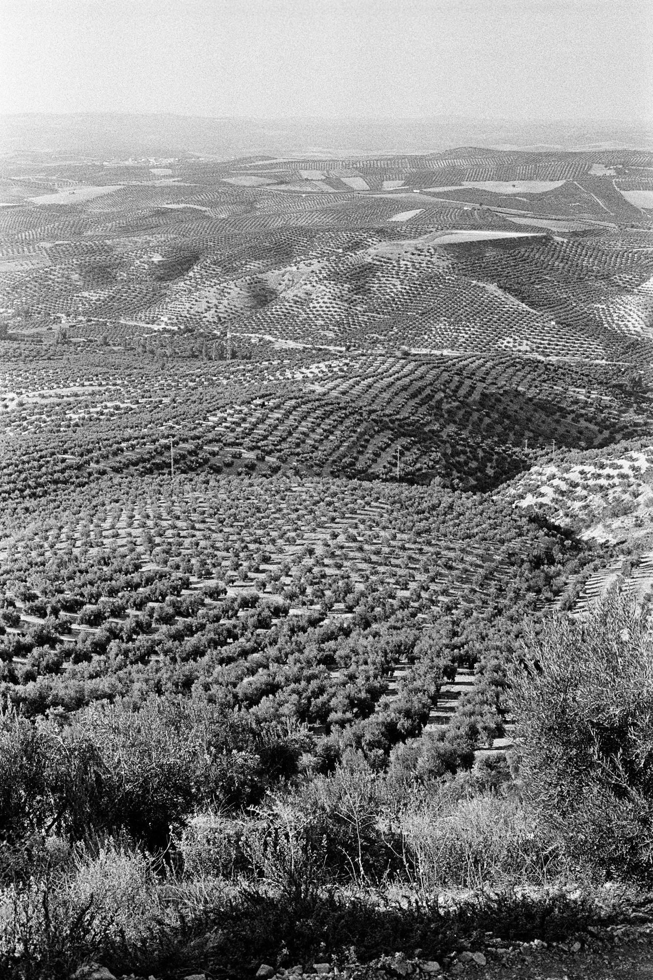 Memories of Spain. Документальный фотограф Алексей Мякишев, Москва