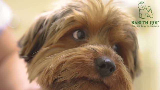 Видео продукт. Тархановский Павел Фото/Видео съёмка