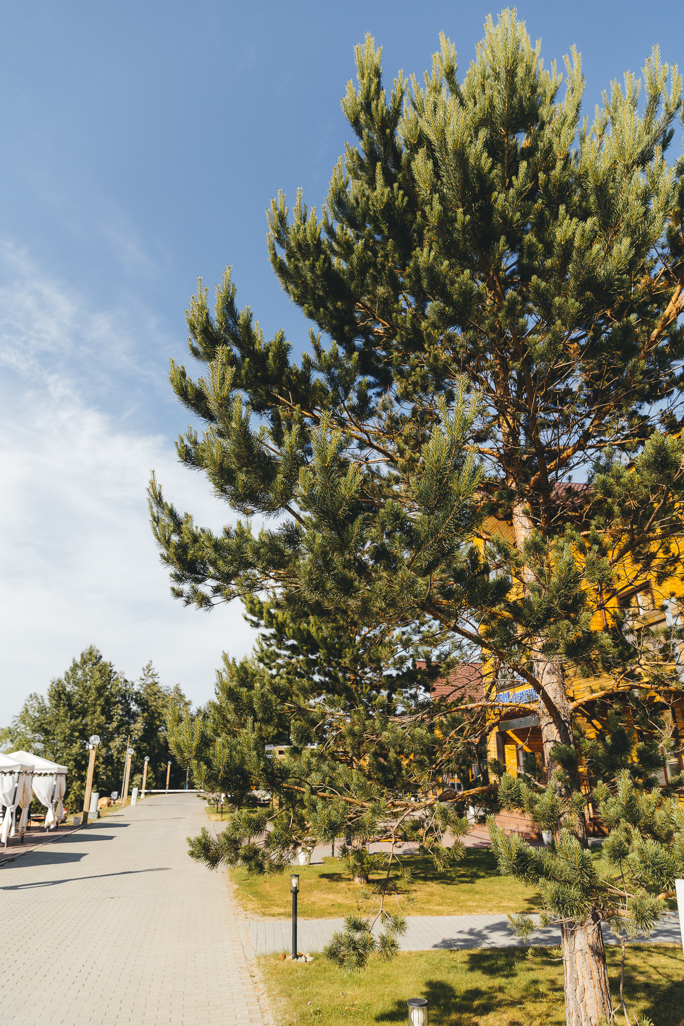 Локации для съёмок. Свадебный и репортажный фотограф Евгений Петров