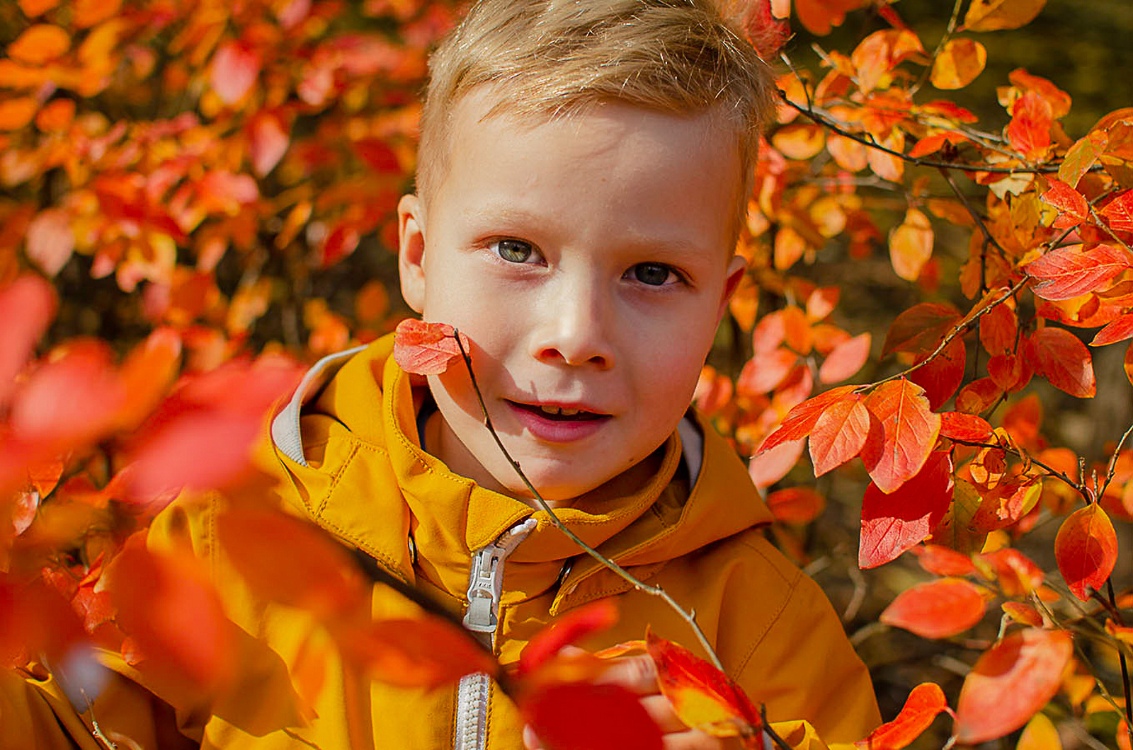 осенняя детская фотография