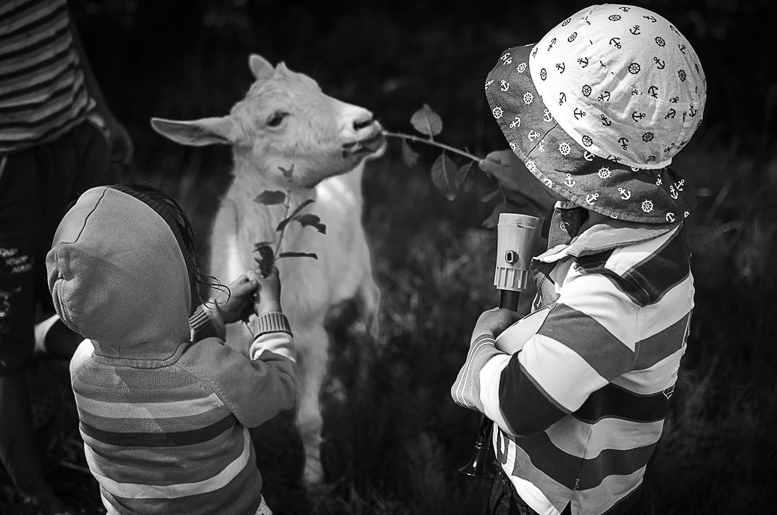 Детская фотография. Annaalyoshicheva.ru детский и семейный лайфстайл Lifestyle фотограф