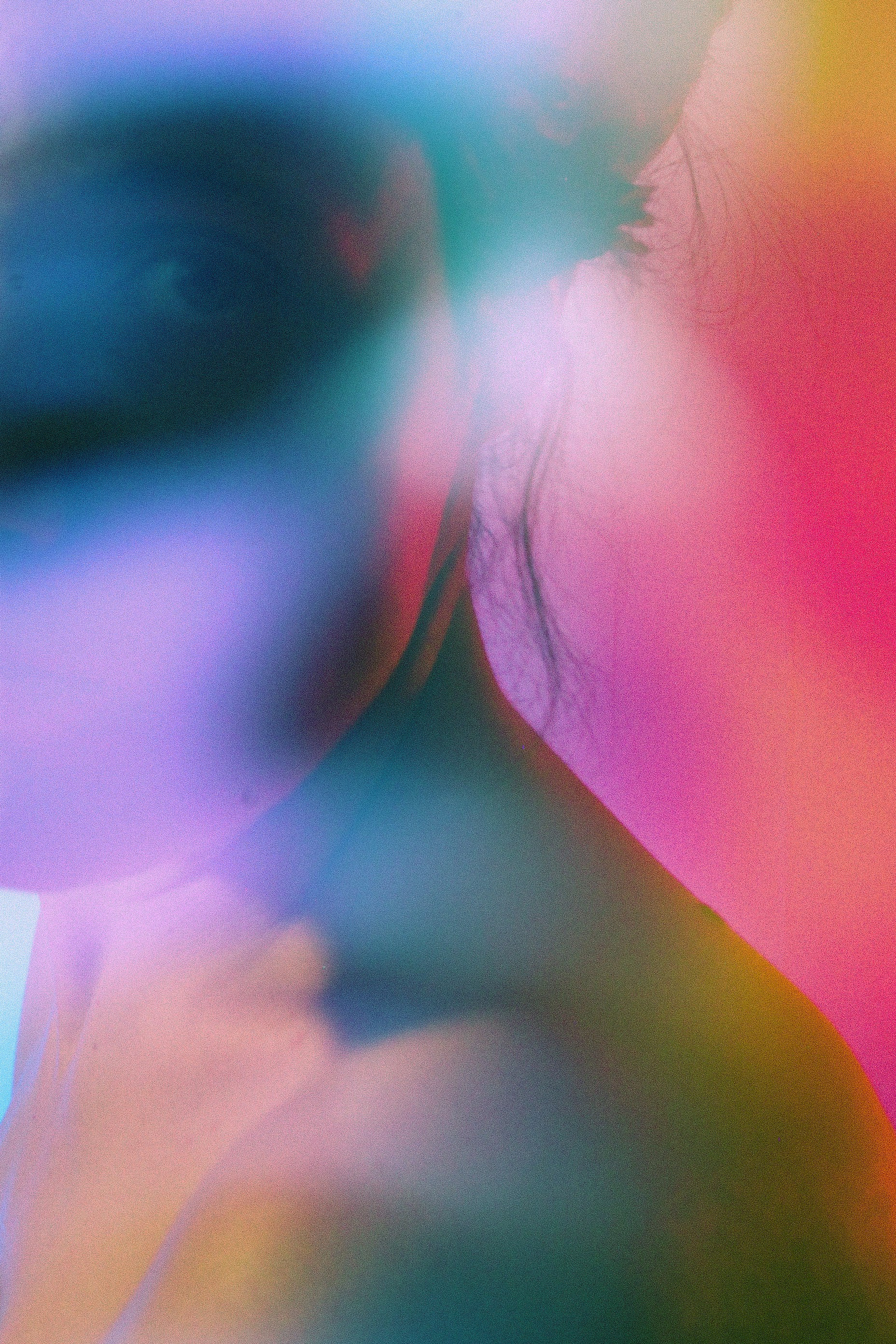 The best version of yourself. Nope. ALEXANDRA MALAKHOVA