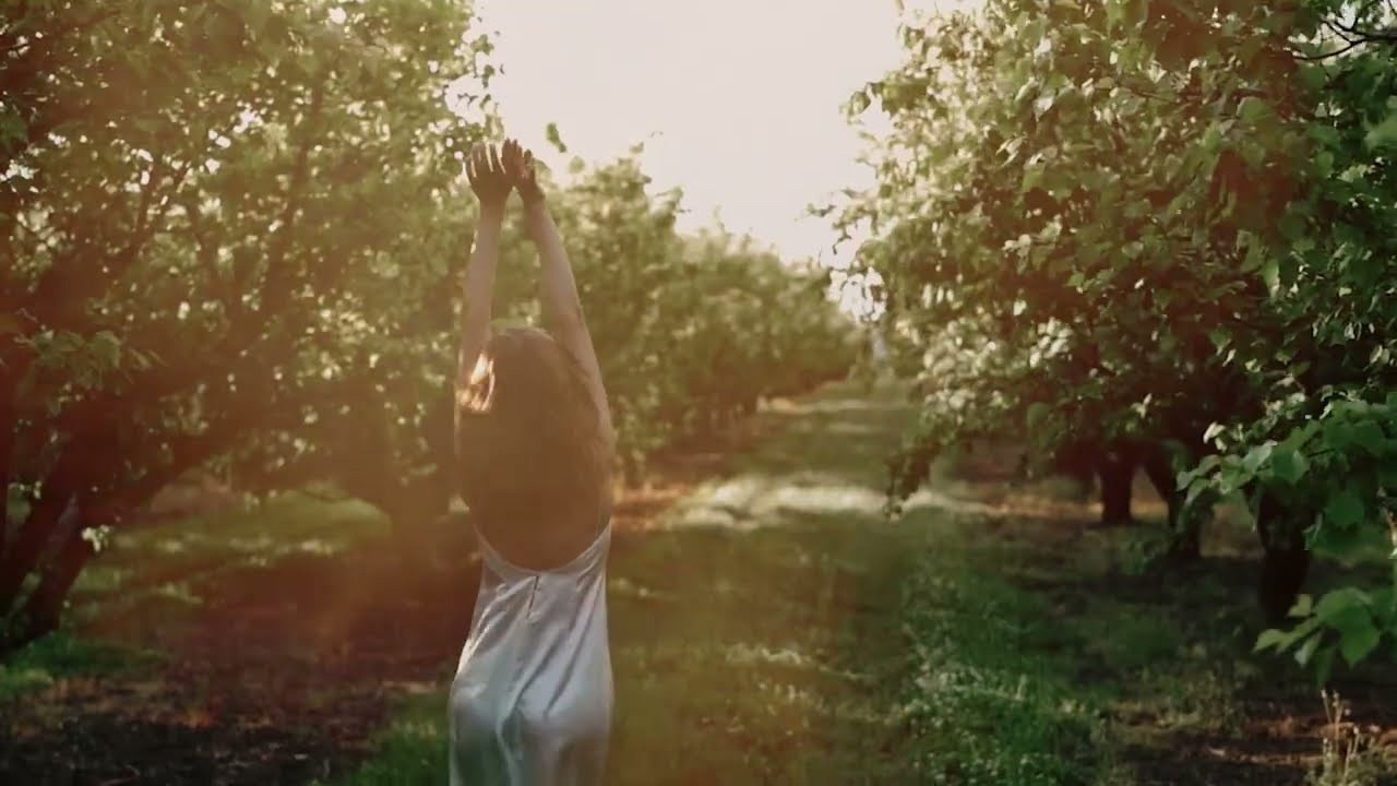 Film. Фотограф и видеограф Елена Хмелевская
