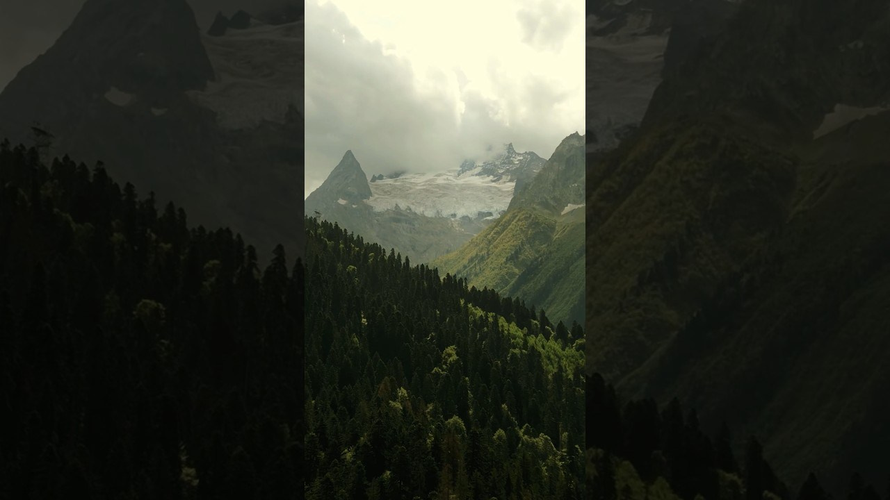 Film. Фотограф и видеограф Елена Хмелевская