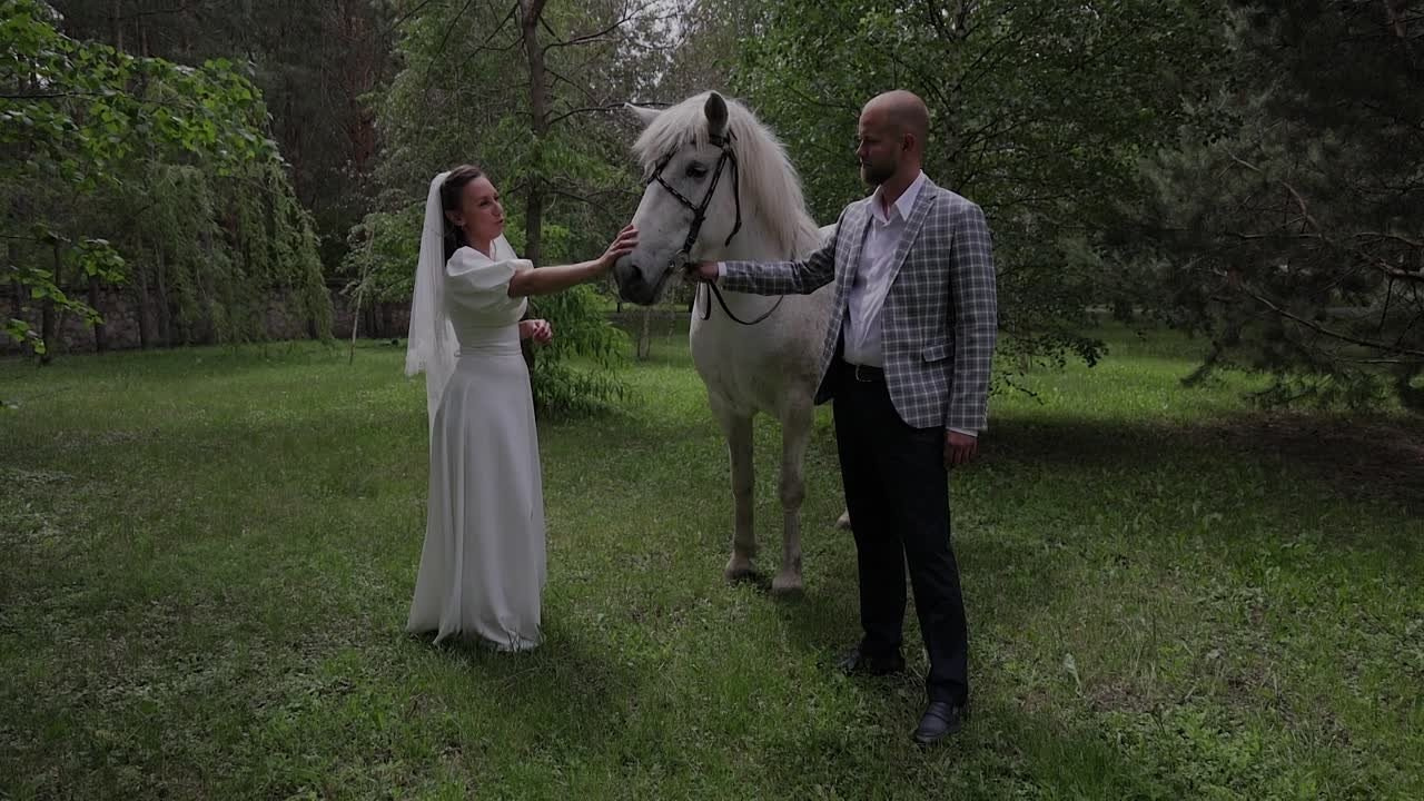 Роман и Анна (Свадебный клип и фильм). Свадебный видеограф и свадебный фотограф в Самаре Олег Слеб