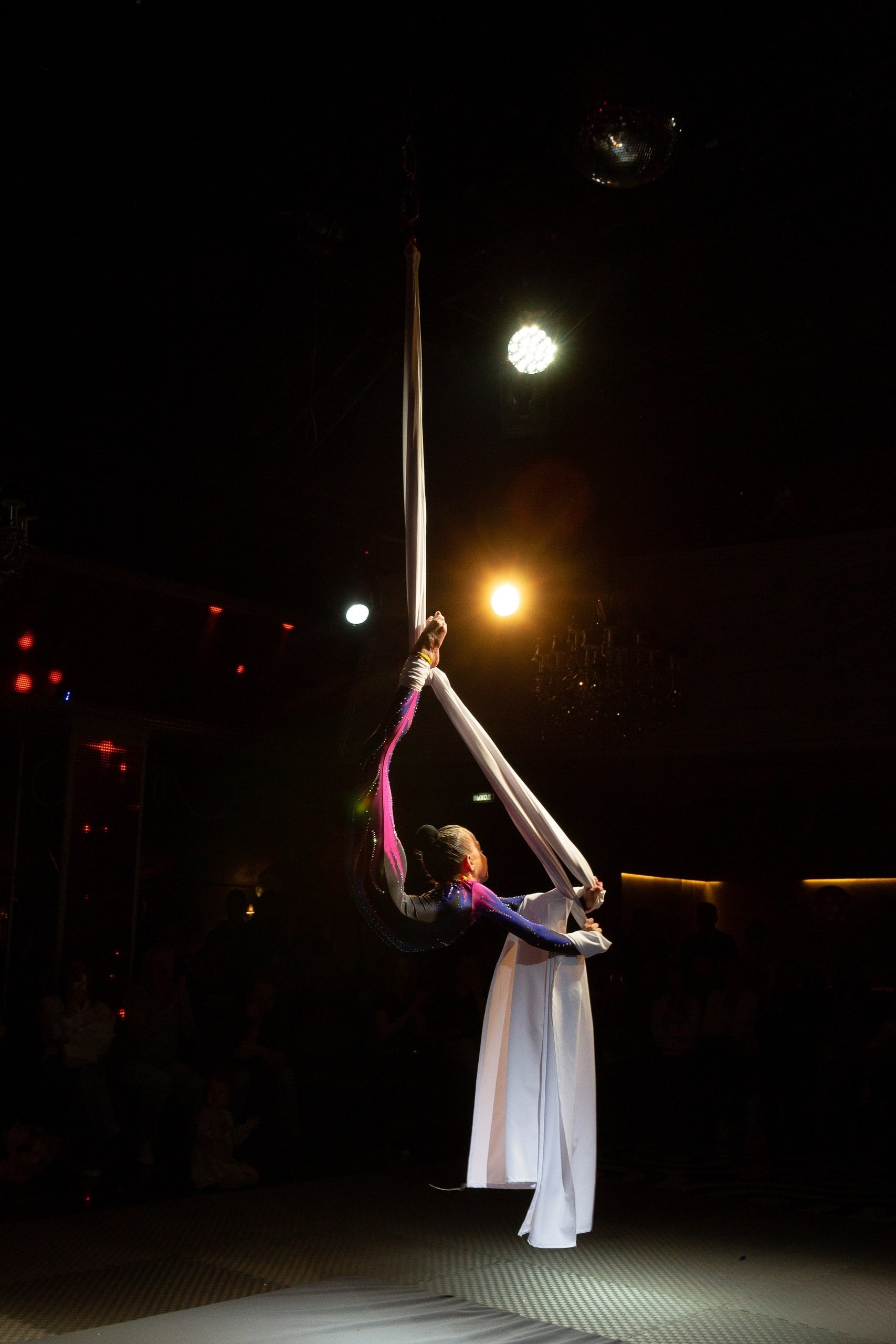 шоу Академии танца и&nbsp;воздушной гимнастики «КРЫЛАТЫЕ»