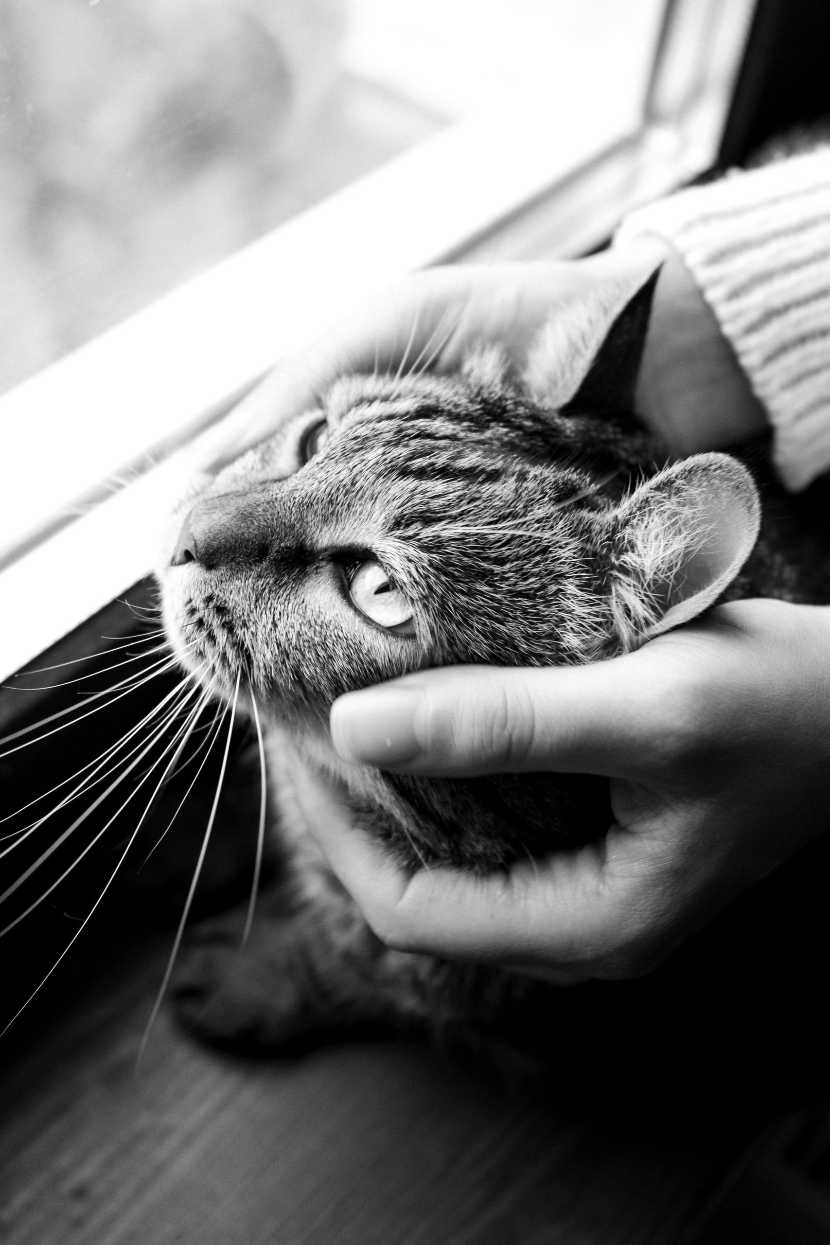 Ню фотограф, Фотохудожник в Москве Анна Форс. Арт-ню фотограф, Фотохудожник в Москве Анна Форс