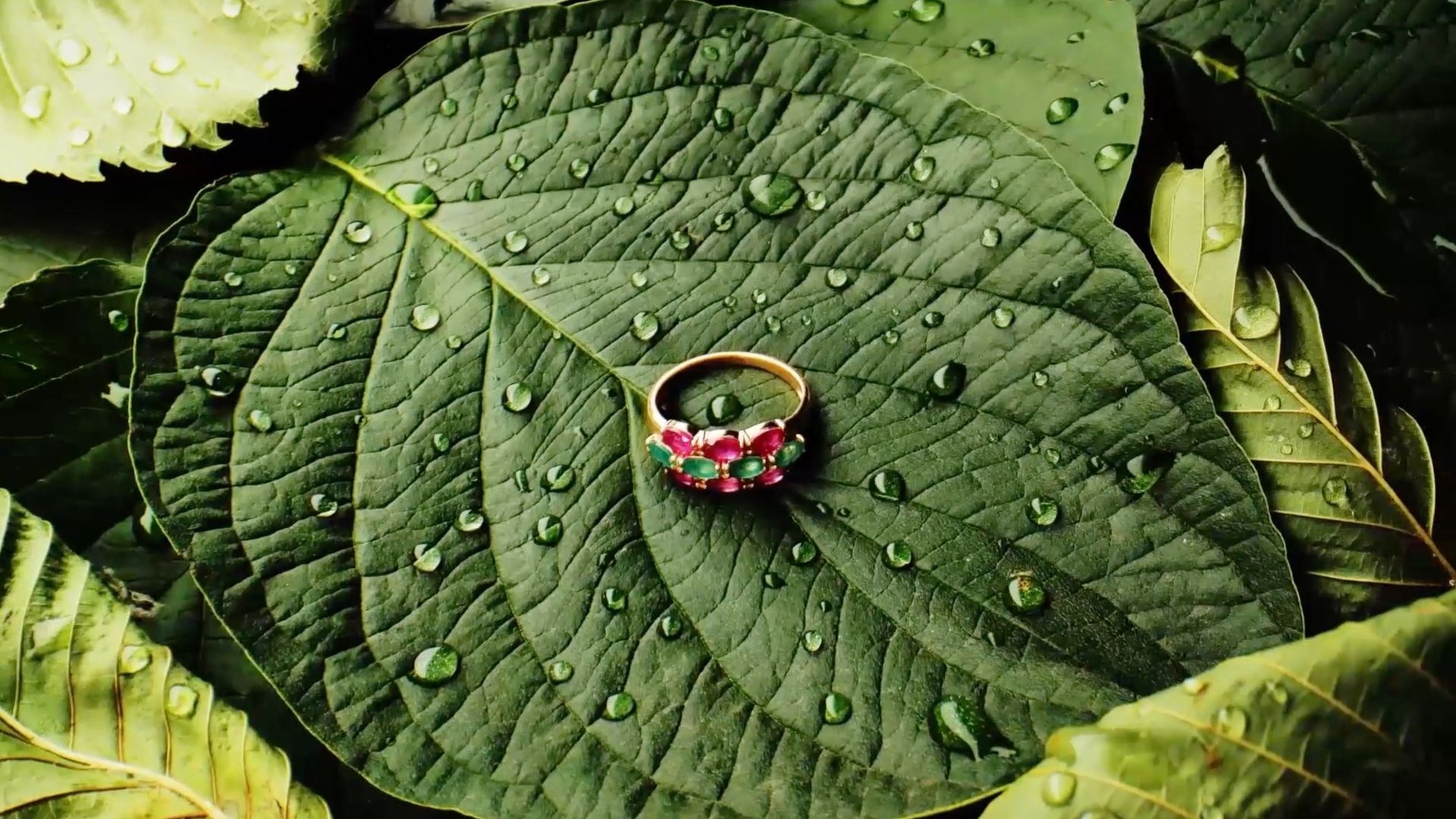 КЕЙСЫ. Режиссёр Алексей Логинов