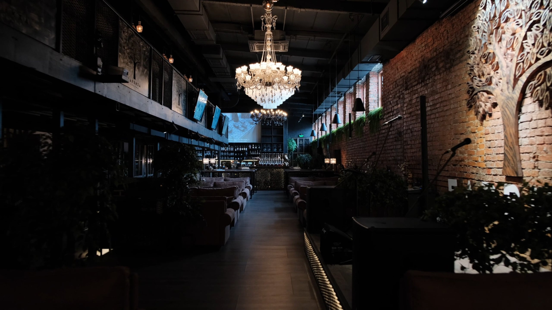 Коммерческое видео. Видеограф в Туле и Москве Михаил Баранов