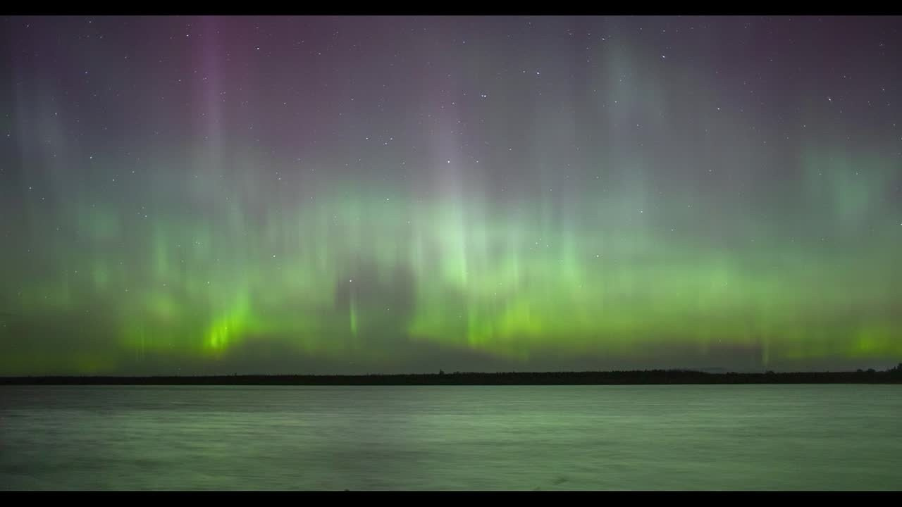 Видео. Фотограф Татьяна Борисова