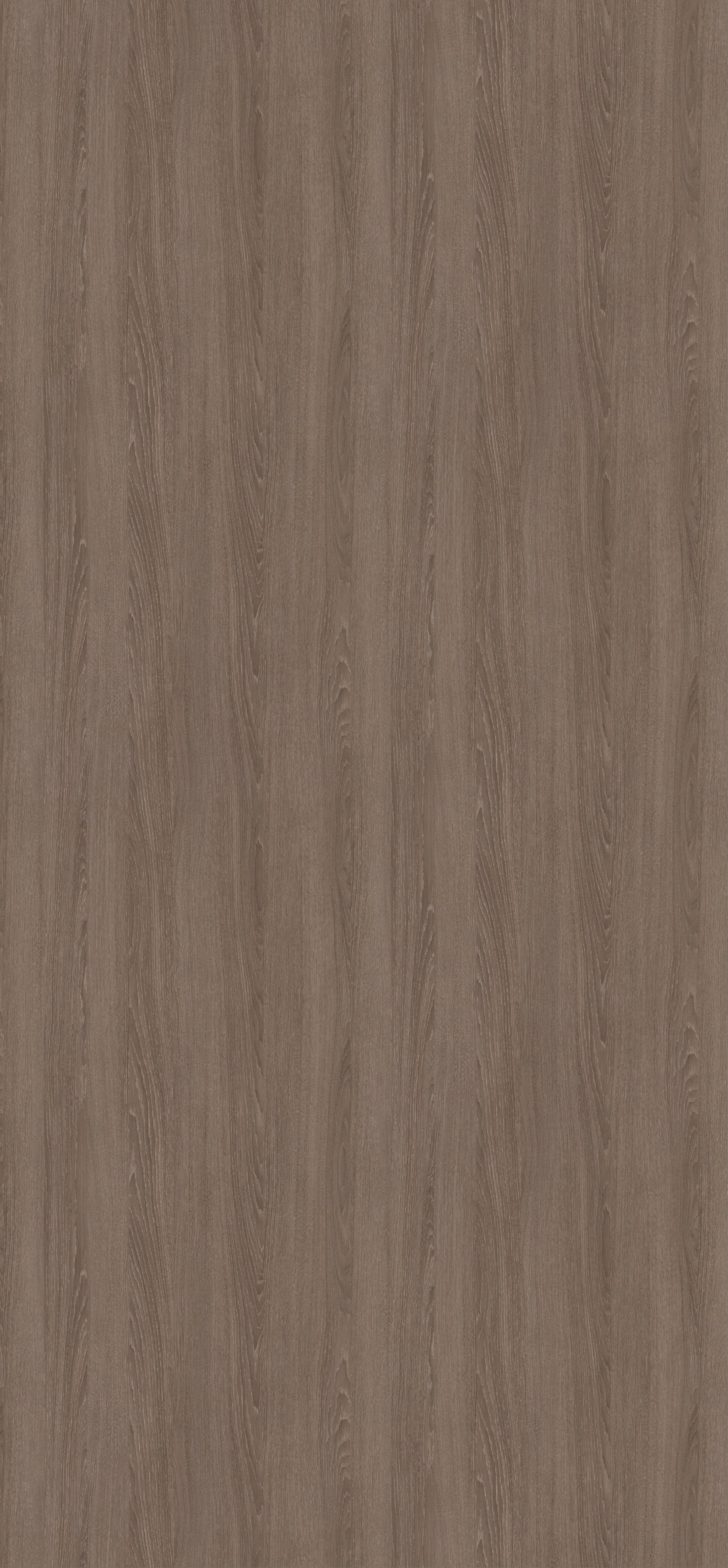 EGGER. Главная