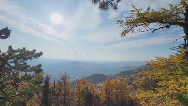 Видеосъемка Алекс ДеФильм