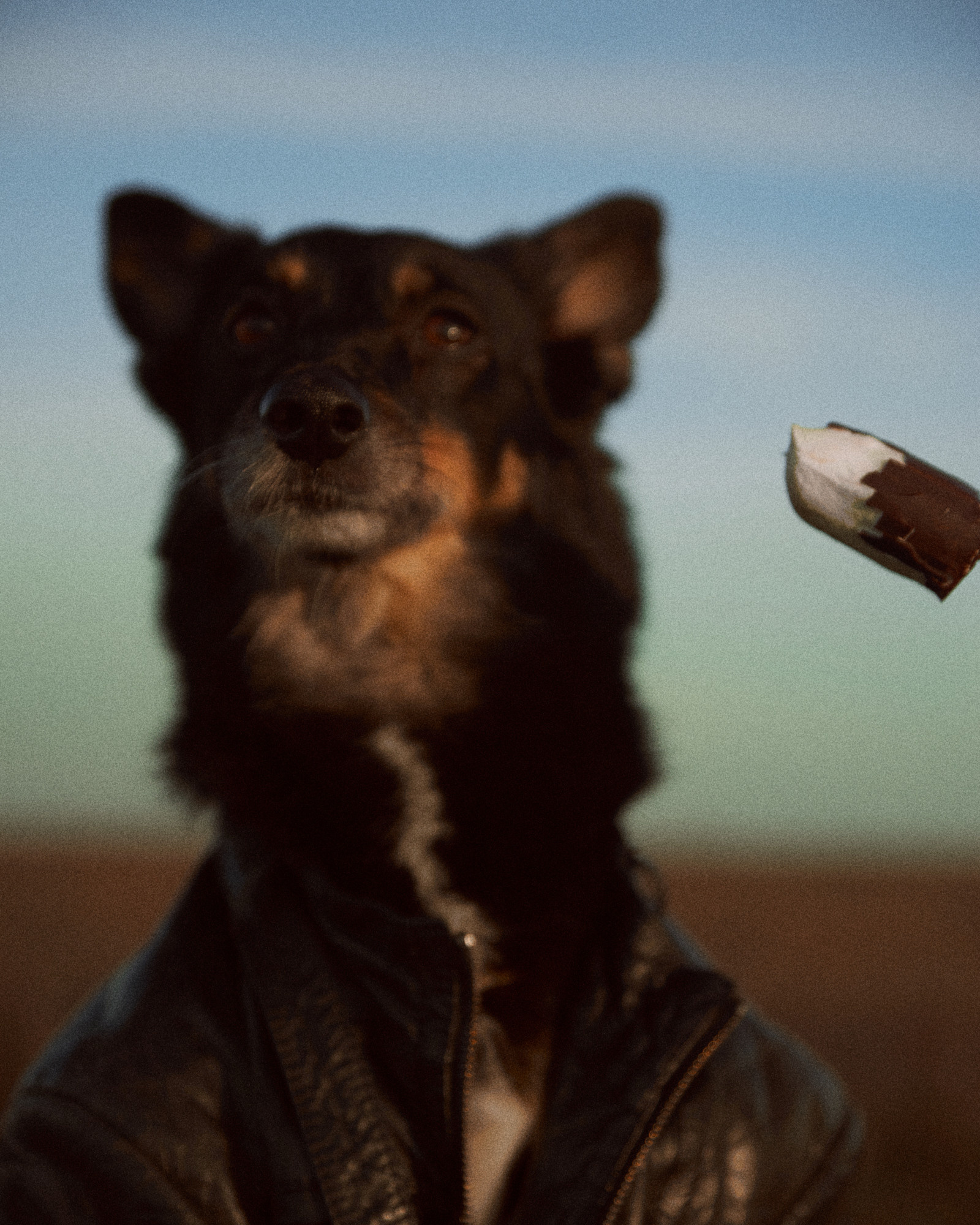 Главная. Дарья Мицкевич портретный фотограф Гродно