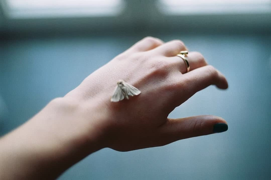 Видео. Фотограф, в Ростове-на-дону