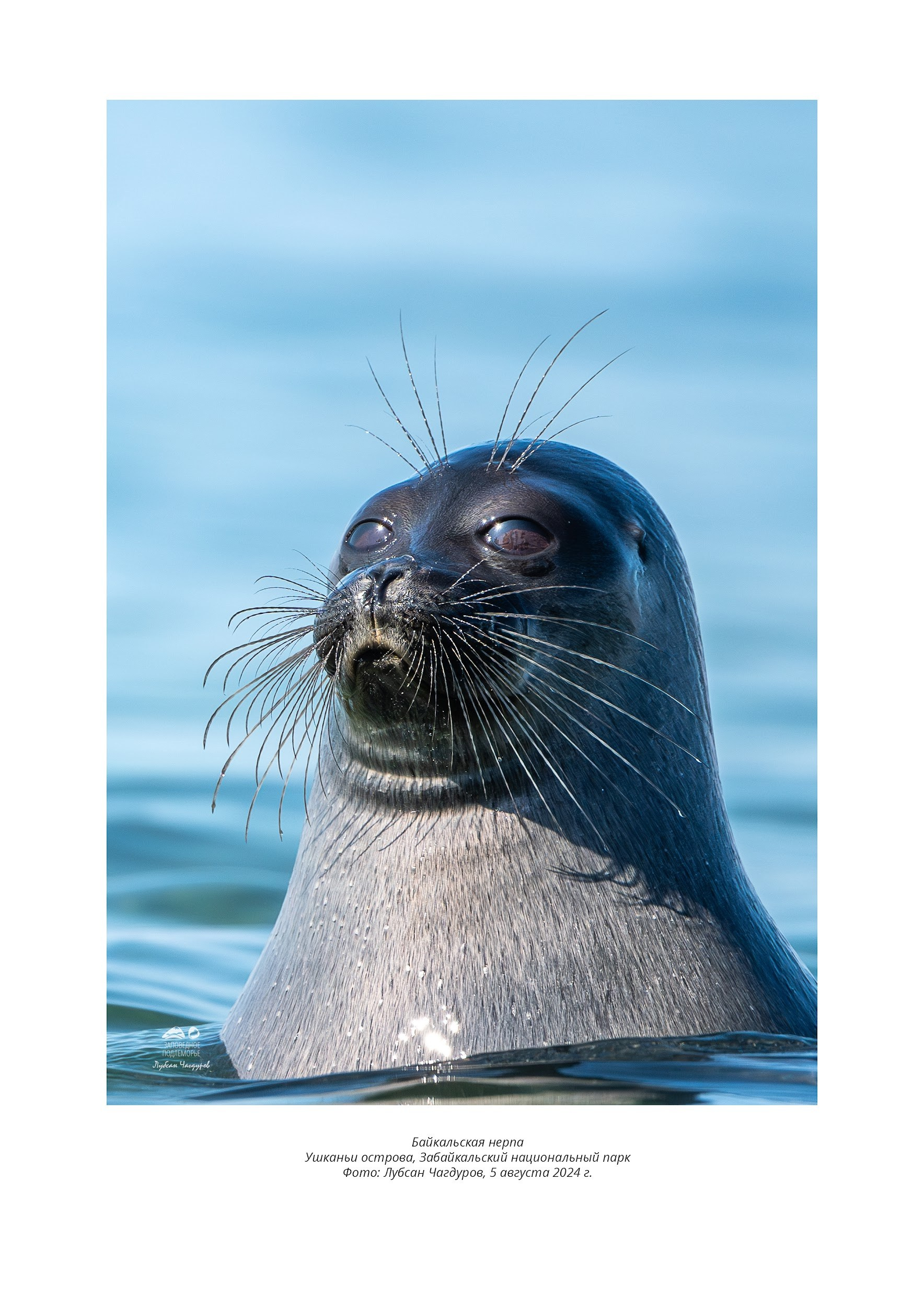 Фотограф Лубсан Чагдуров