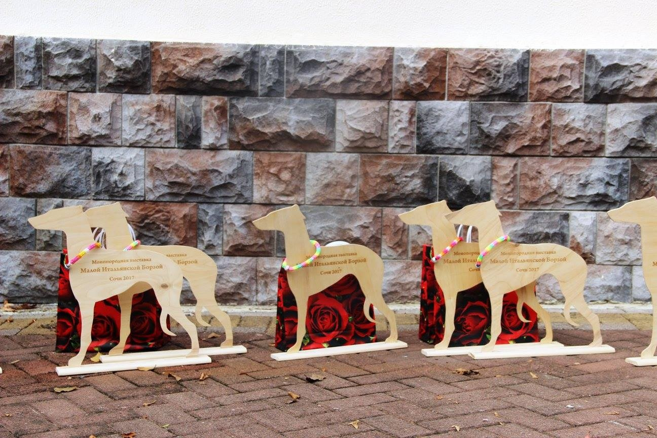 Организация монопородной выставки. Профессиональный питомник левреток РКФ/FCI ASTI SAPPHIRE 💎 Сочи|Санкт-Петербург