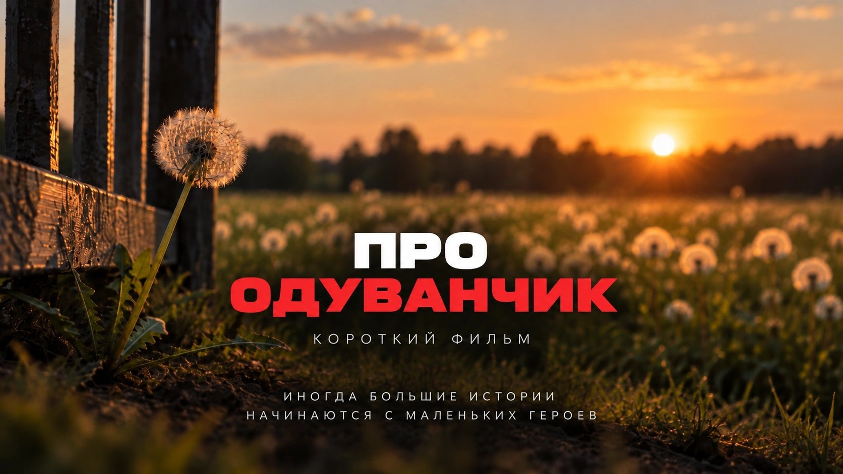Видео преподавателя курса. Наталья Рапопорт. Онлайн-курсы по фотографии и съемке видео
