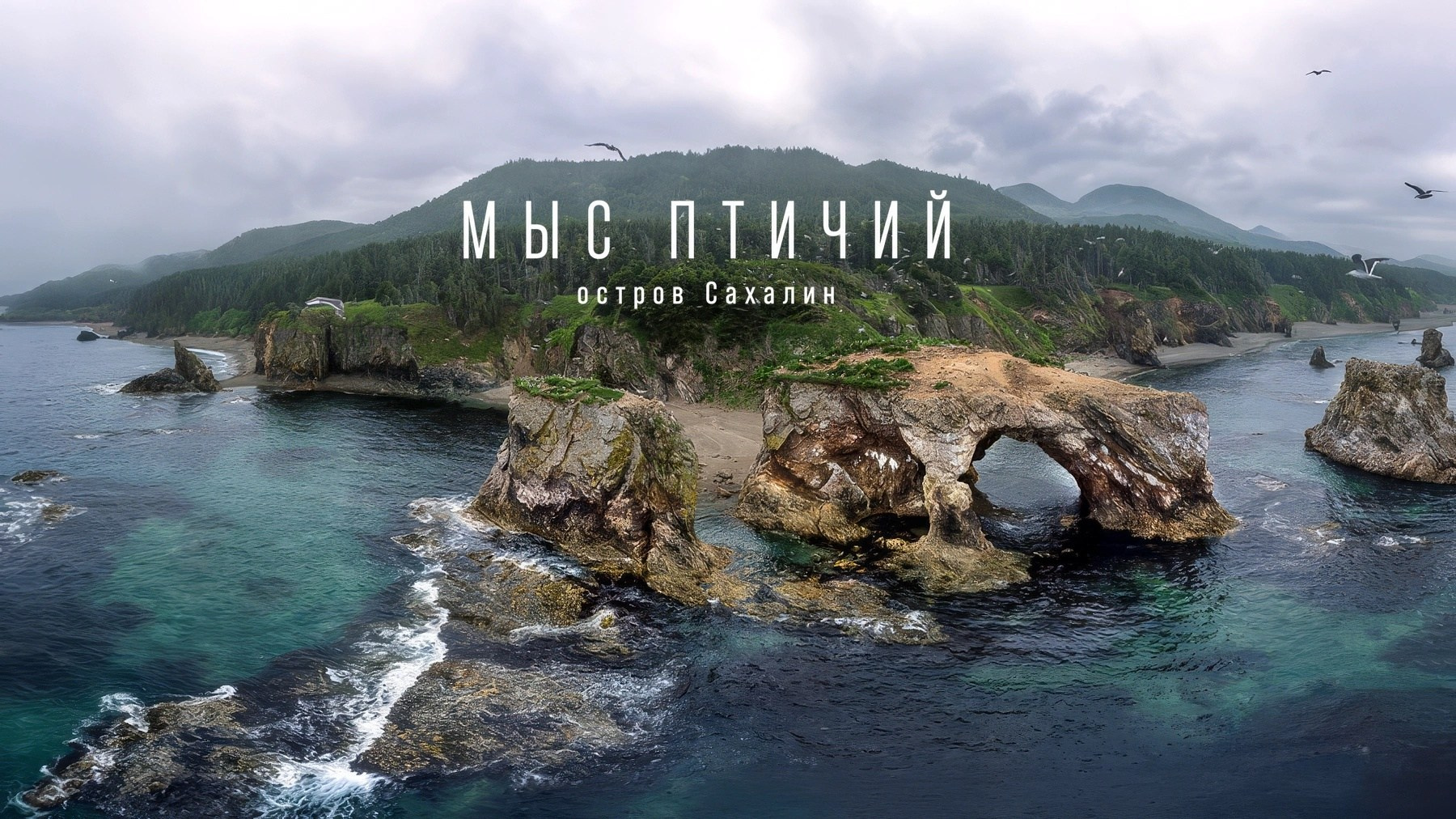Видео преподавателя курса (vebinar). Наталья Рапопорт. Онлайн-курсы по фотографии и съемке видео