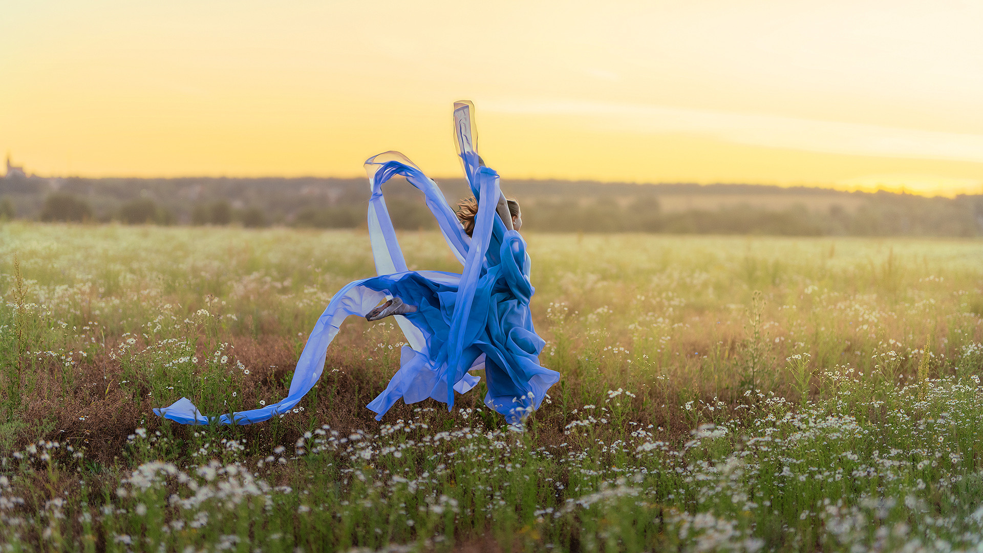 Ангелина | Ромашки. W&T Studio Студия фото и видео съемки