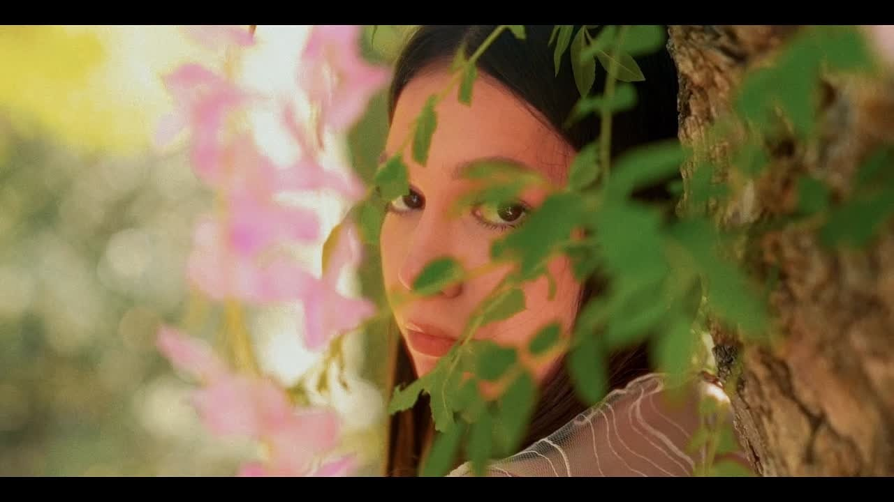 Видеограф и фотограф в Крыму