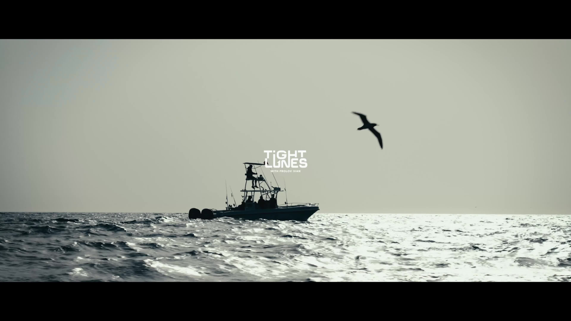 МОИ РАБОТЫ. Видеооператор, Видеограф в Москве, Видео монтаж