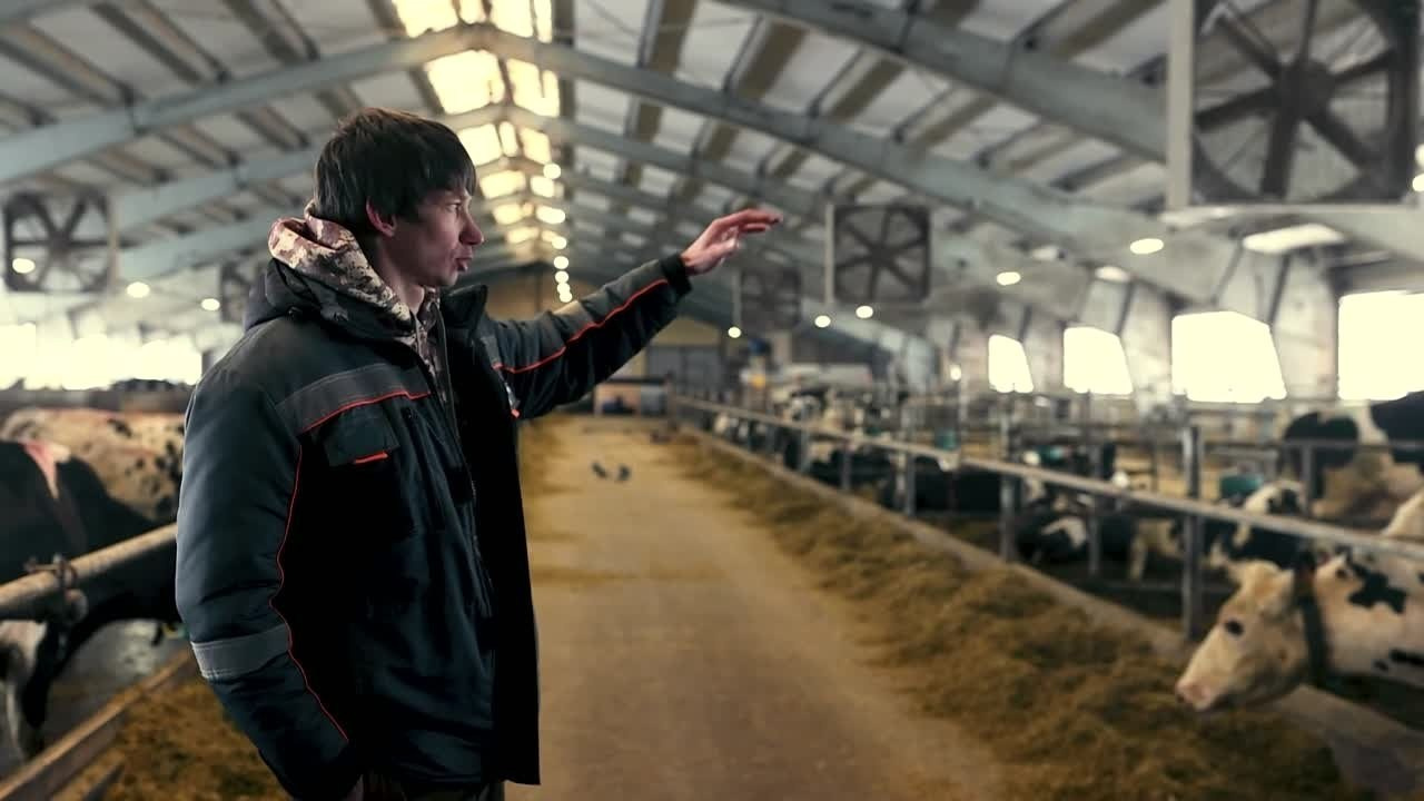 Репортаж. Алексей Шаров — свадебный и репортажный фотограф в Нижнем Новгороде