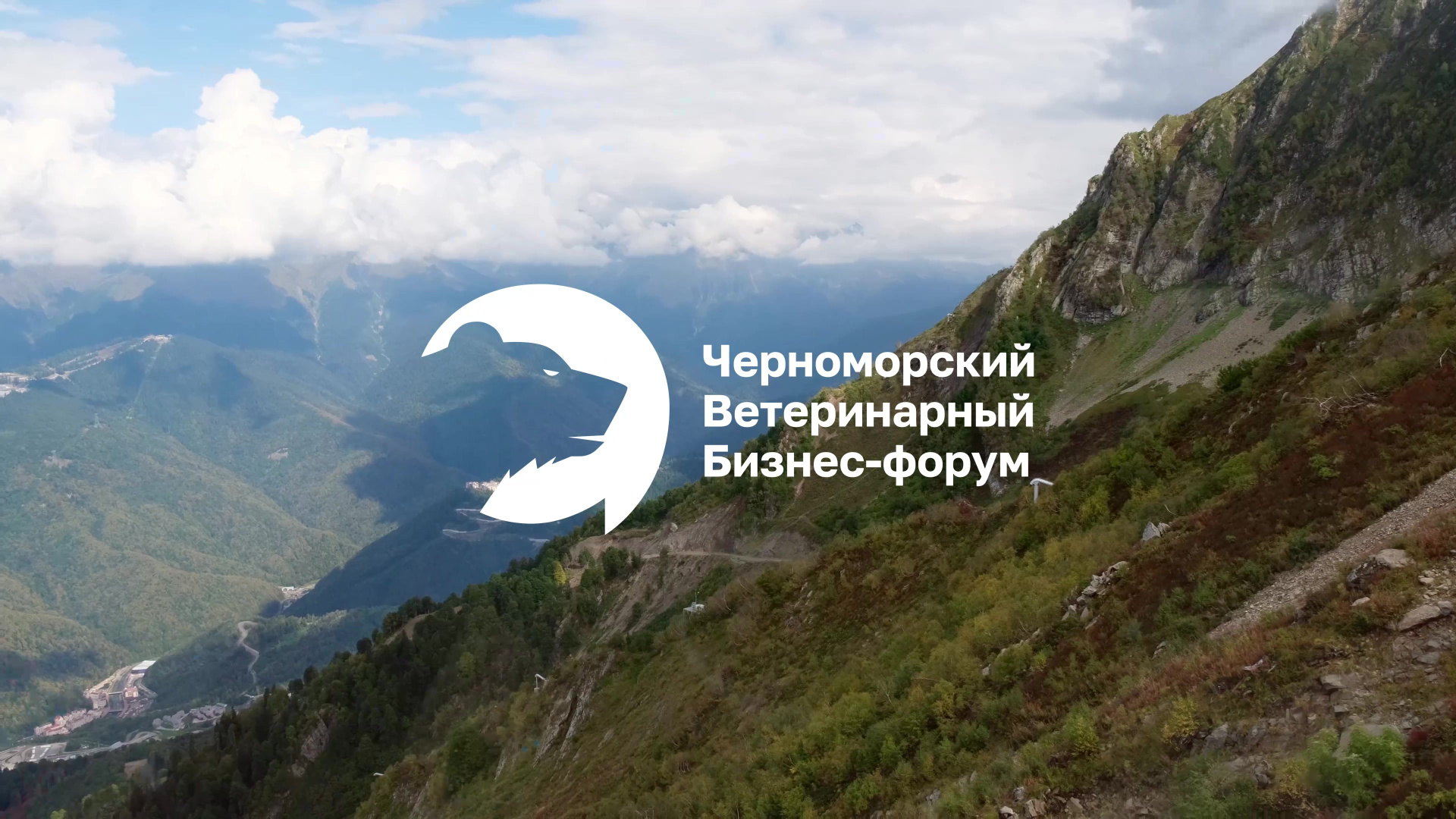 Мероприятия. Видеограф Евгения Климова Джейн Джек видео Екатеринбург