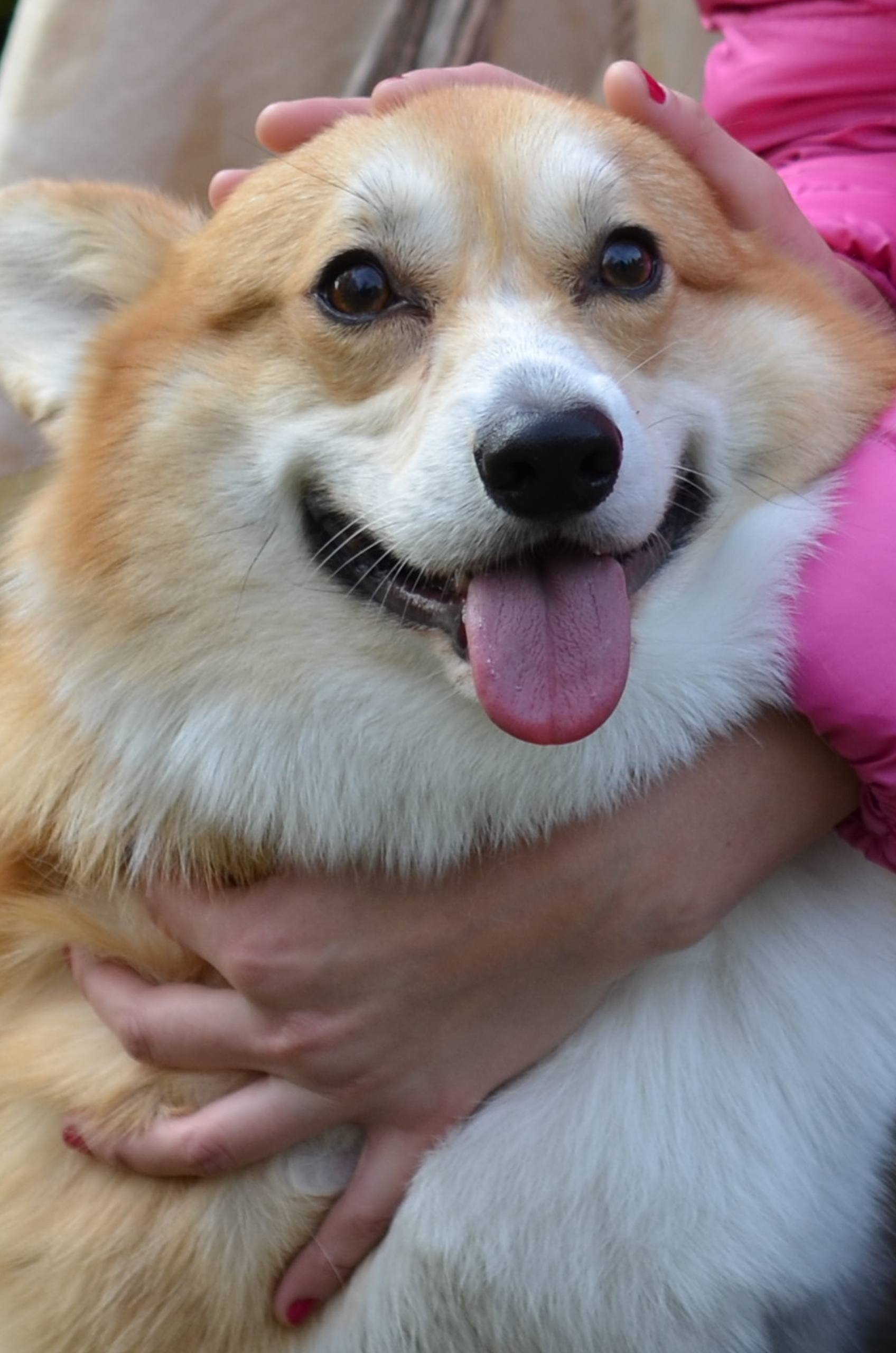 БЛАГОТВОРИТЕЛЬНЫЕ МЕРОПРИЯТИЯ