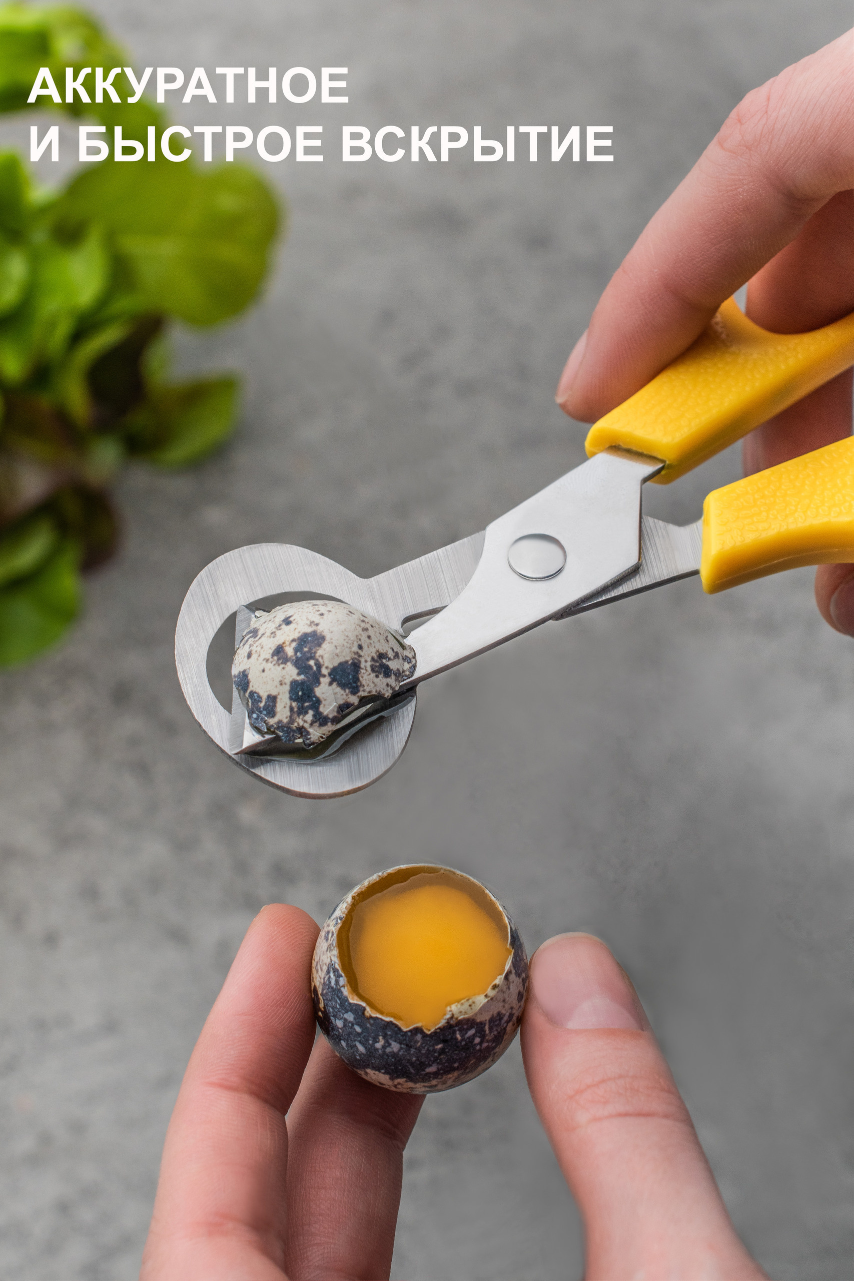 Предметная съёмка товара в применении + инфографика