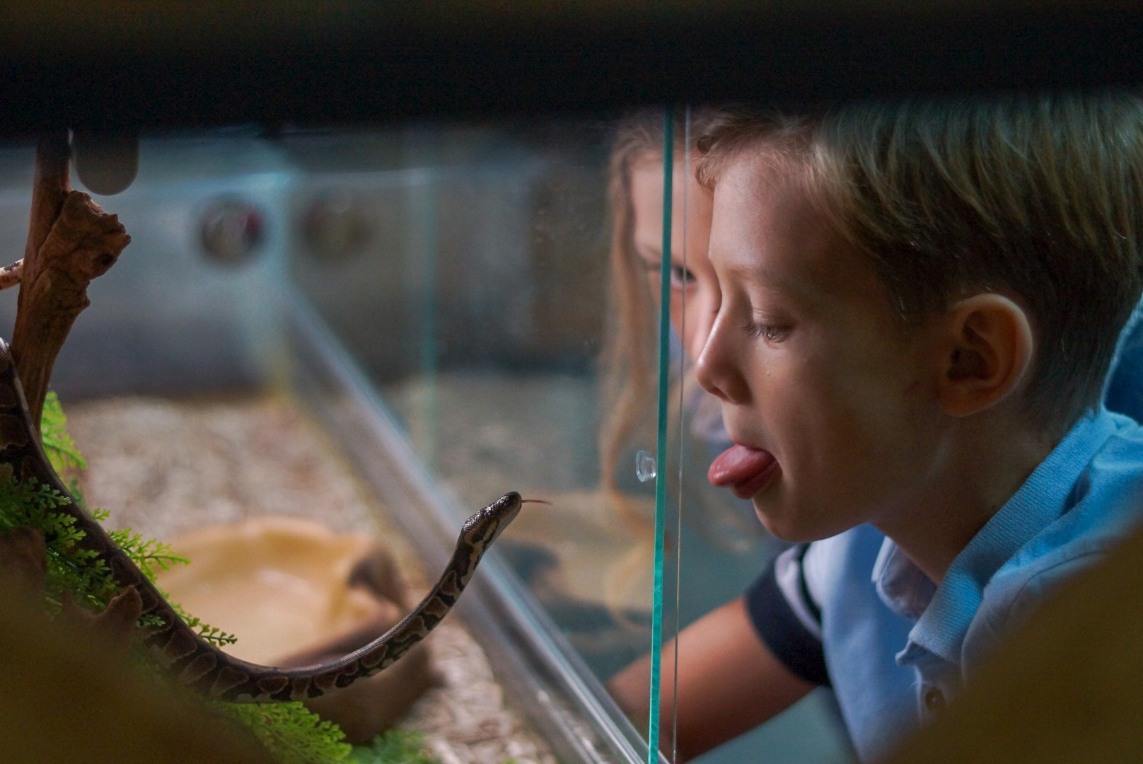 BY KOT | Екатерина Котова | фотограф и видеограф