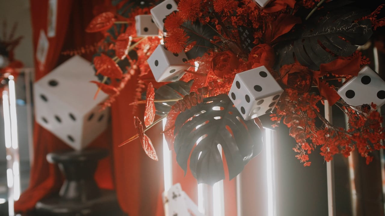 Монтаж видео в день мероприятия. Видеограф Турчин Денис