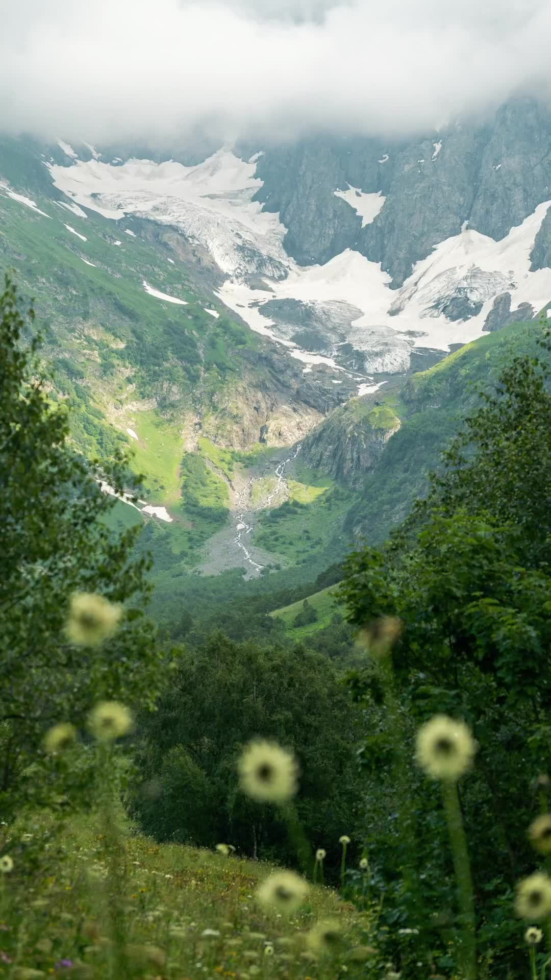 Видео. Горный фотограф в Красной Поляне