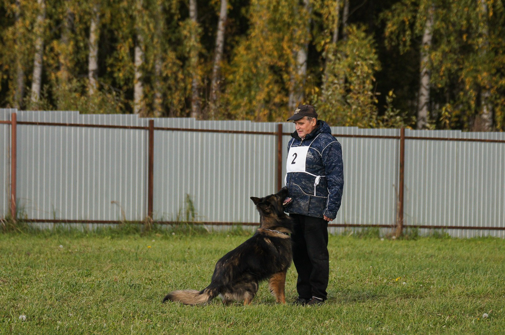 Репортажная съемка. Фотограф-анималист Нижний Новгород