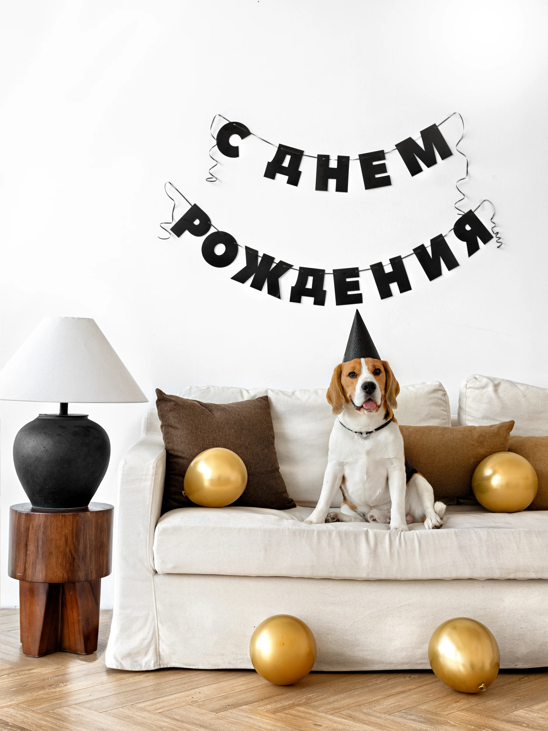 Фотосъемка питомца. Фотограф детских праздников в Новосибирске Ольга Франк