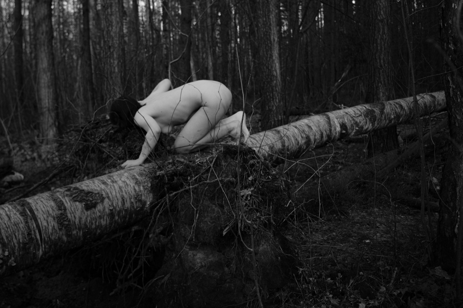 Wandering. ✨misha khazov • photography • performance