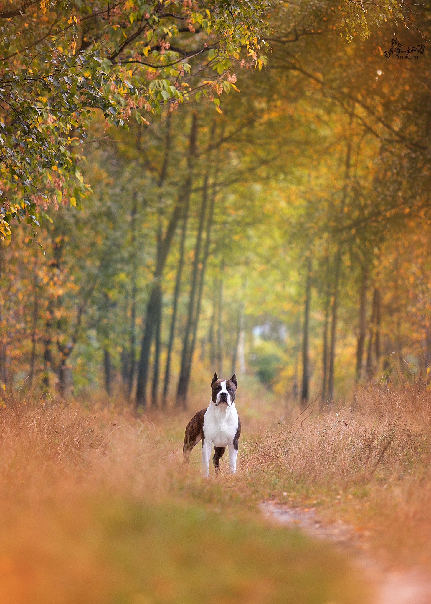 Фотограф-анималист в Москве Евгения Старостина