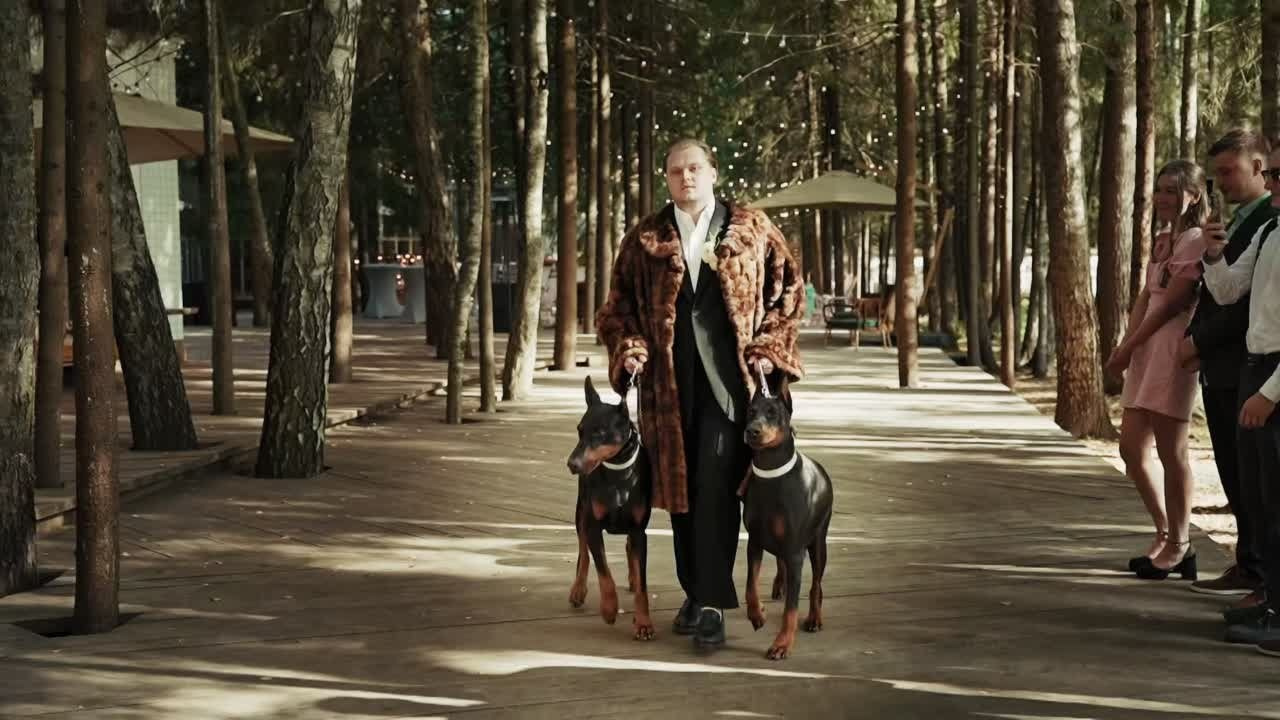 Видео на свадьбу в Москве