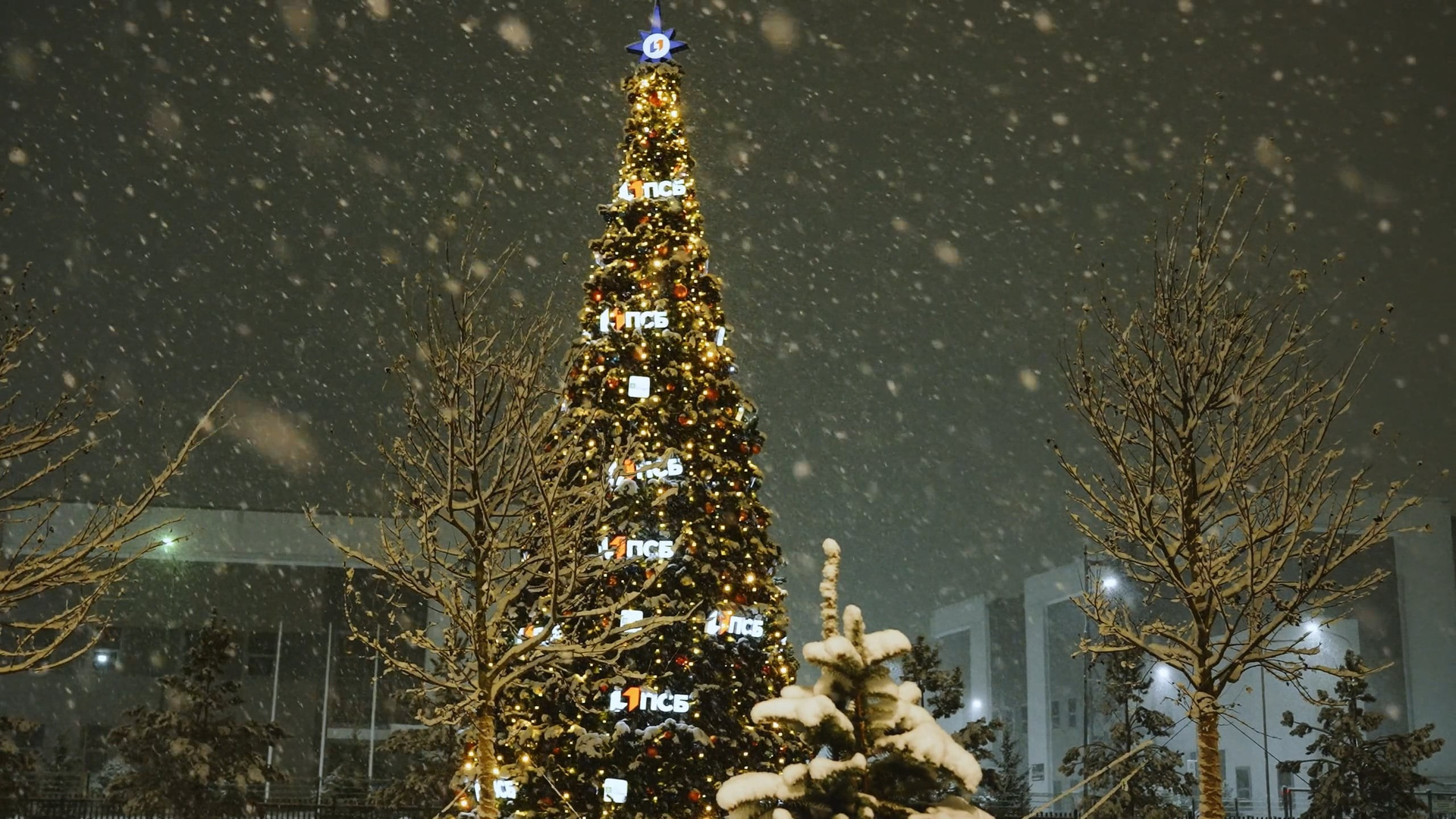 События. Видеограф Каменецкий Константин