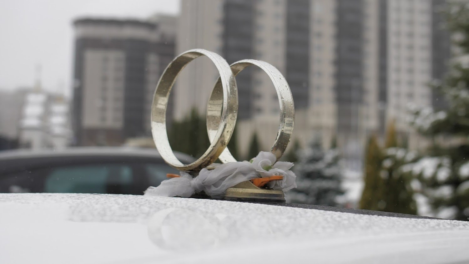 Свадьбы. Свадебный и репортажный фотограф Дмитрий Кононенко