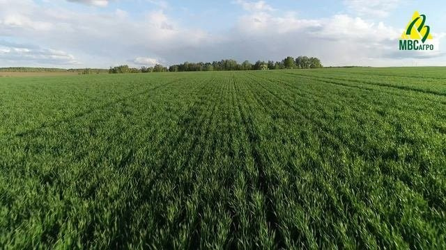 Видеосъемка