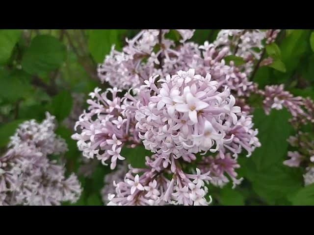 Сама жизнь — радость. Марина Рыбкина — Глубинная психология