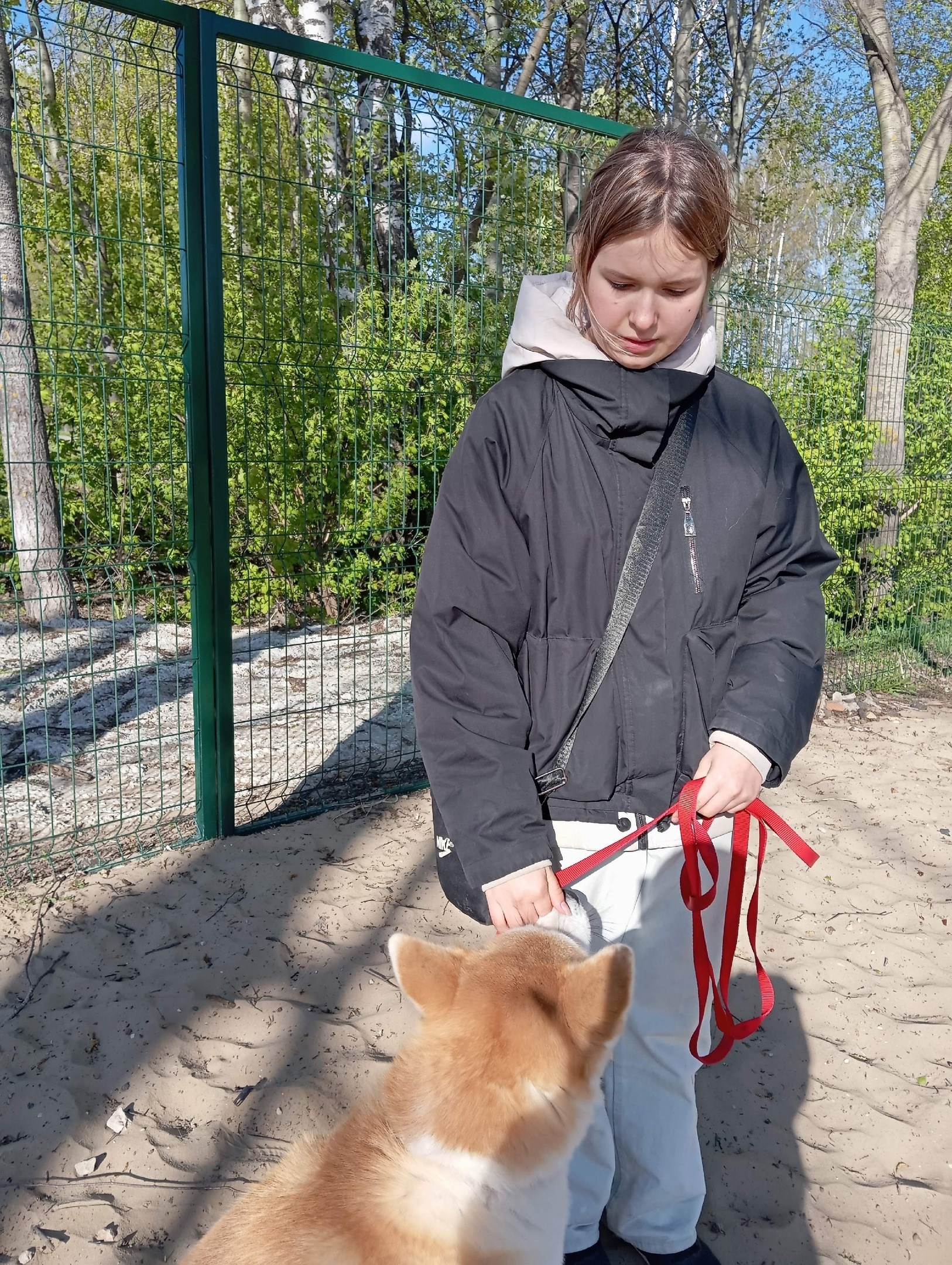 Практические занятия по дрессировке. НРОО КЦ "Собаковод"