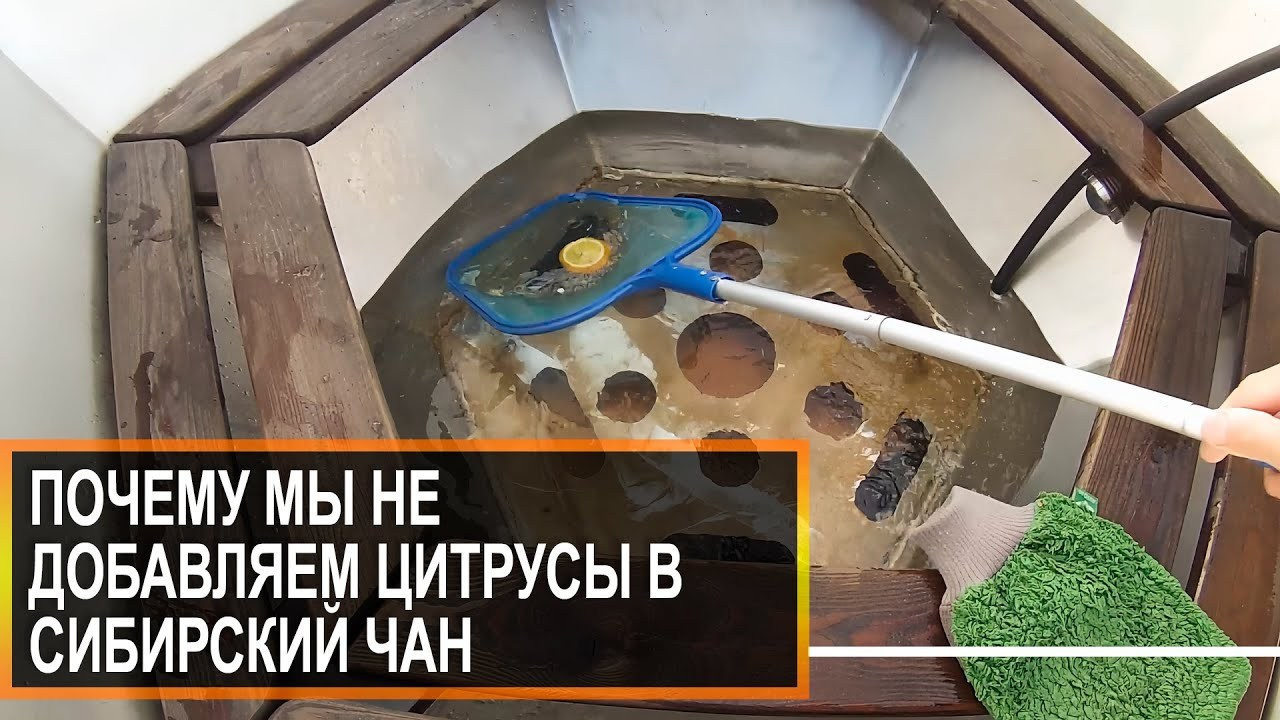 Добавки в Сибирский Чан: За и Против — читать статью в блоге